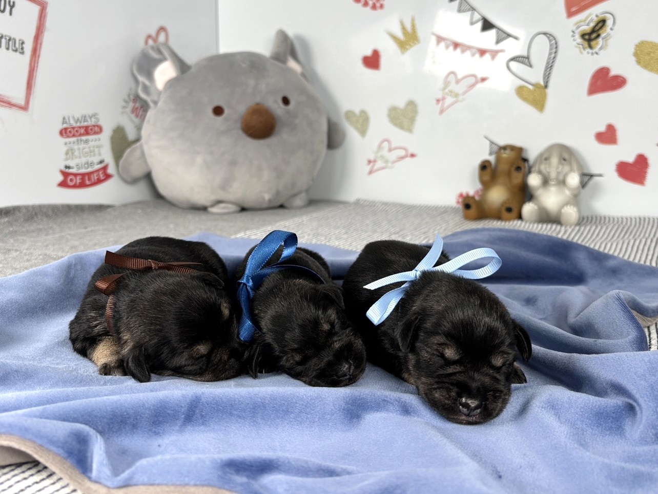 赤ちゃん写真1-3