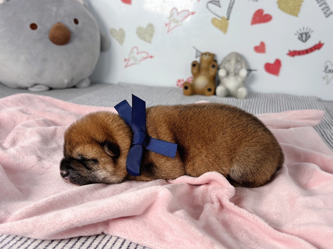 赤ちゃん写真1-2