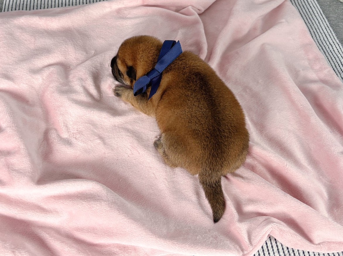 赤ちゃん写真1-3