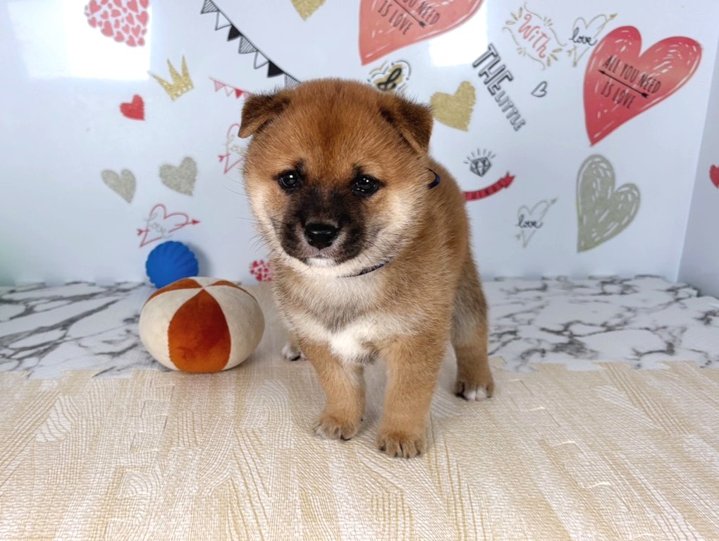 赤ちゃん写真2-1