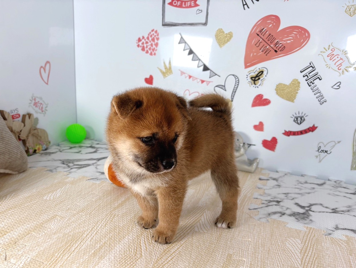 赤ちゃん写真2-2