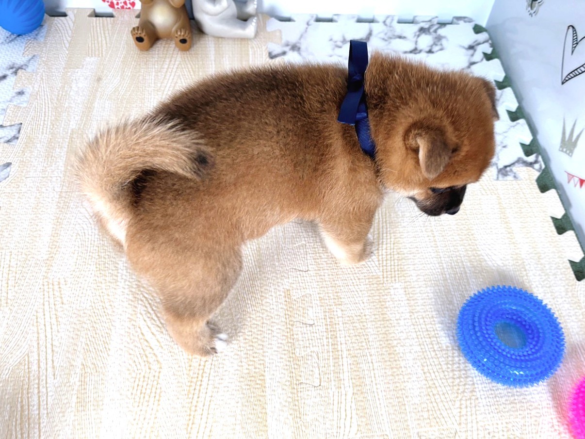 赤ちゃん写真2-3
