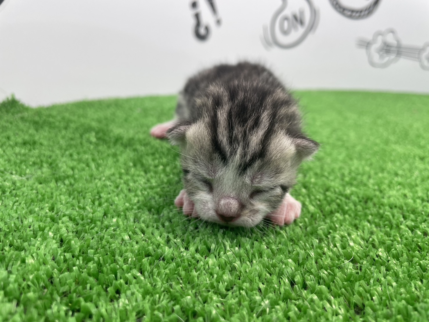 赤ちゃん写真1-1