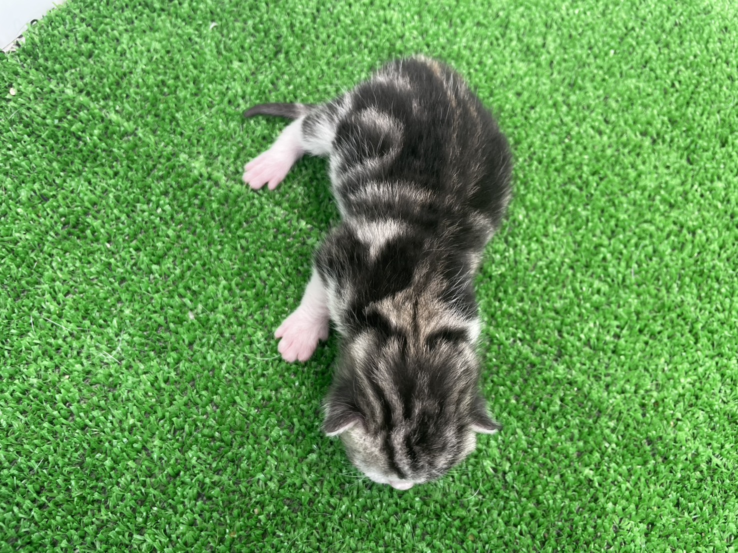 赤ちゃん写真1-3