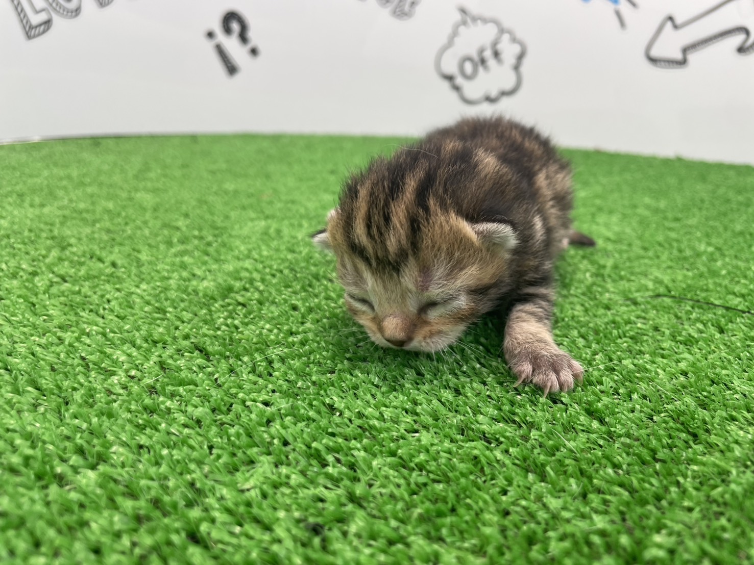 赤ちゃん写真1-1