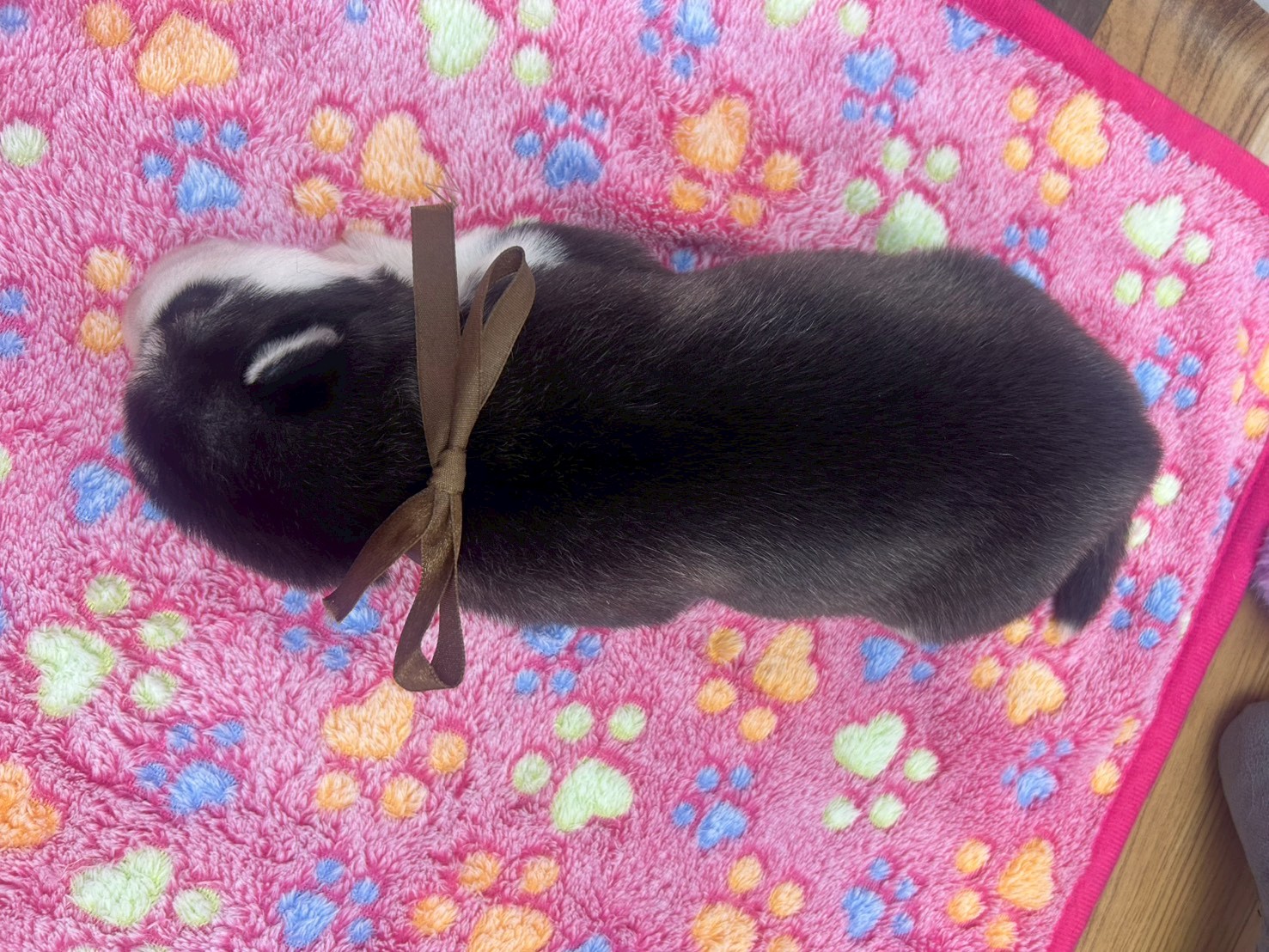 赤ちゃん写真1-3