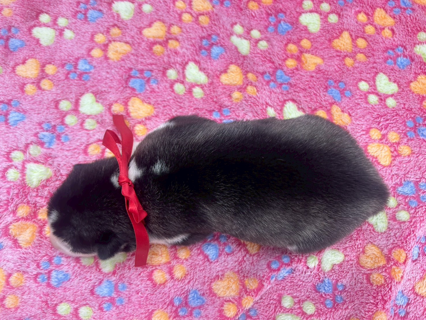 赤ちゃん写真1-3