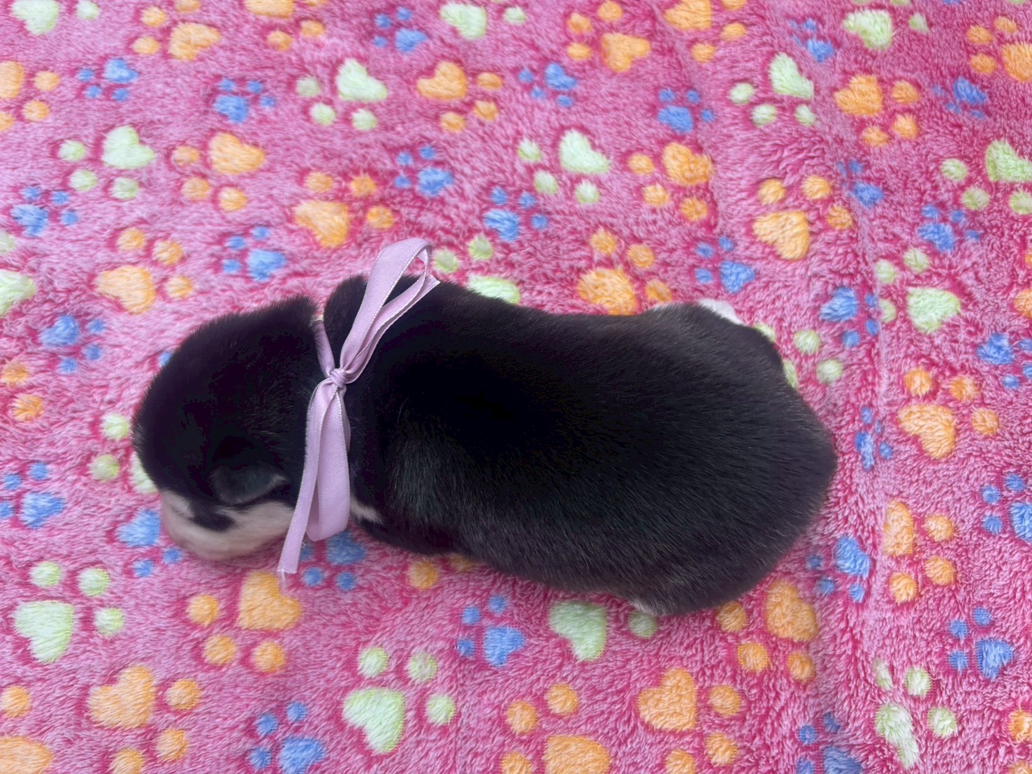 赤ちゃん写真1-3