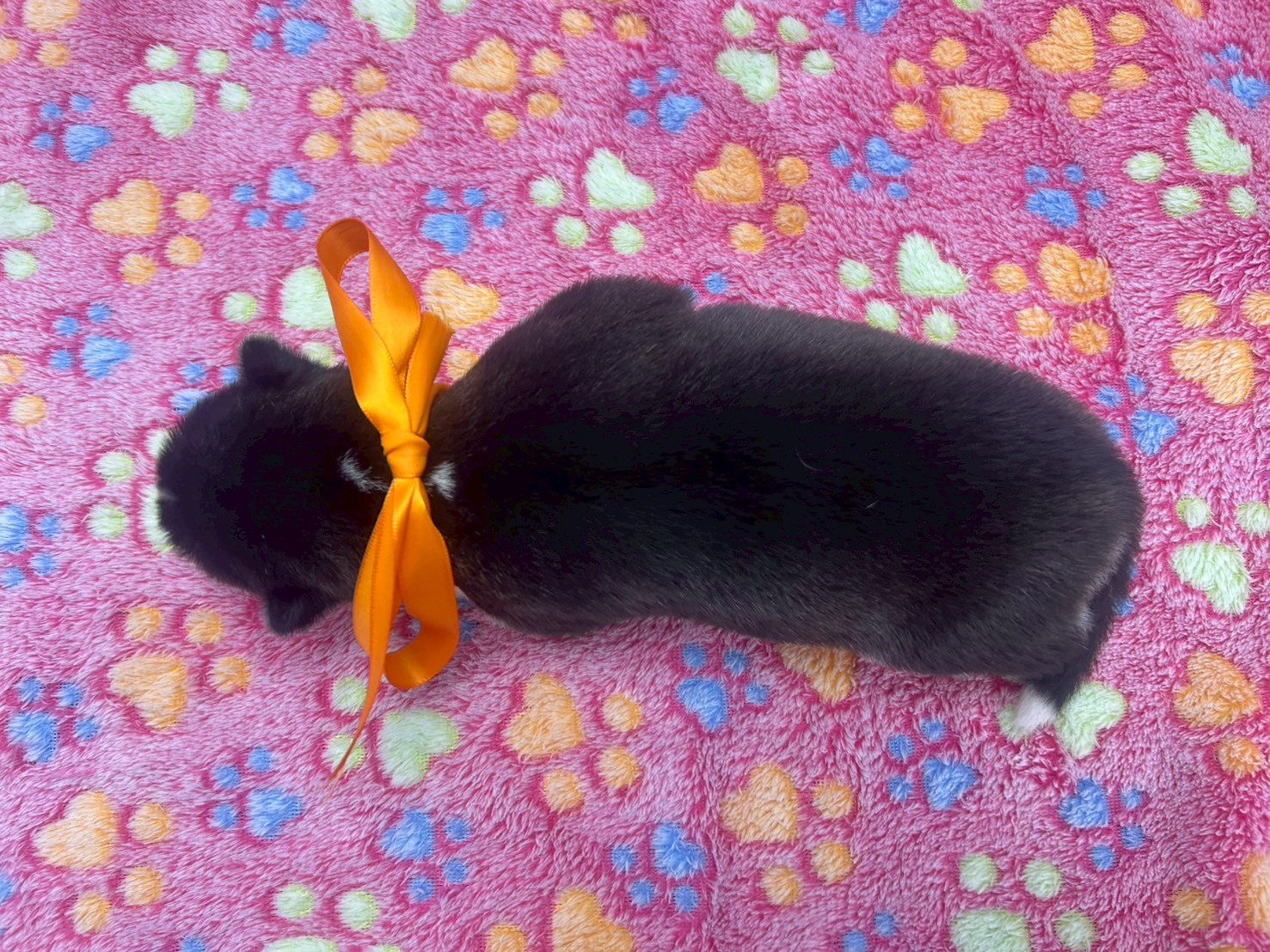 赤ちゃん写真1-3