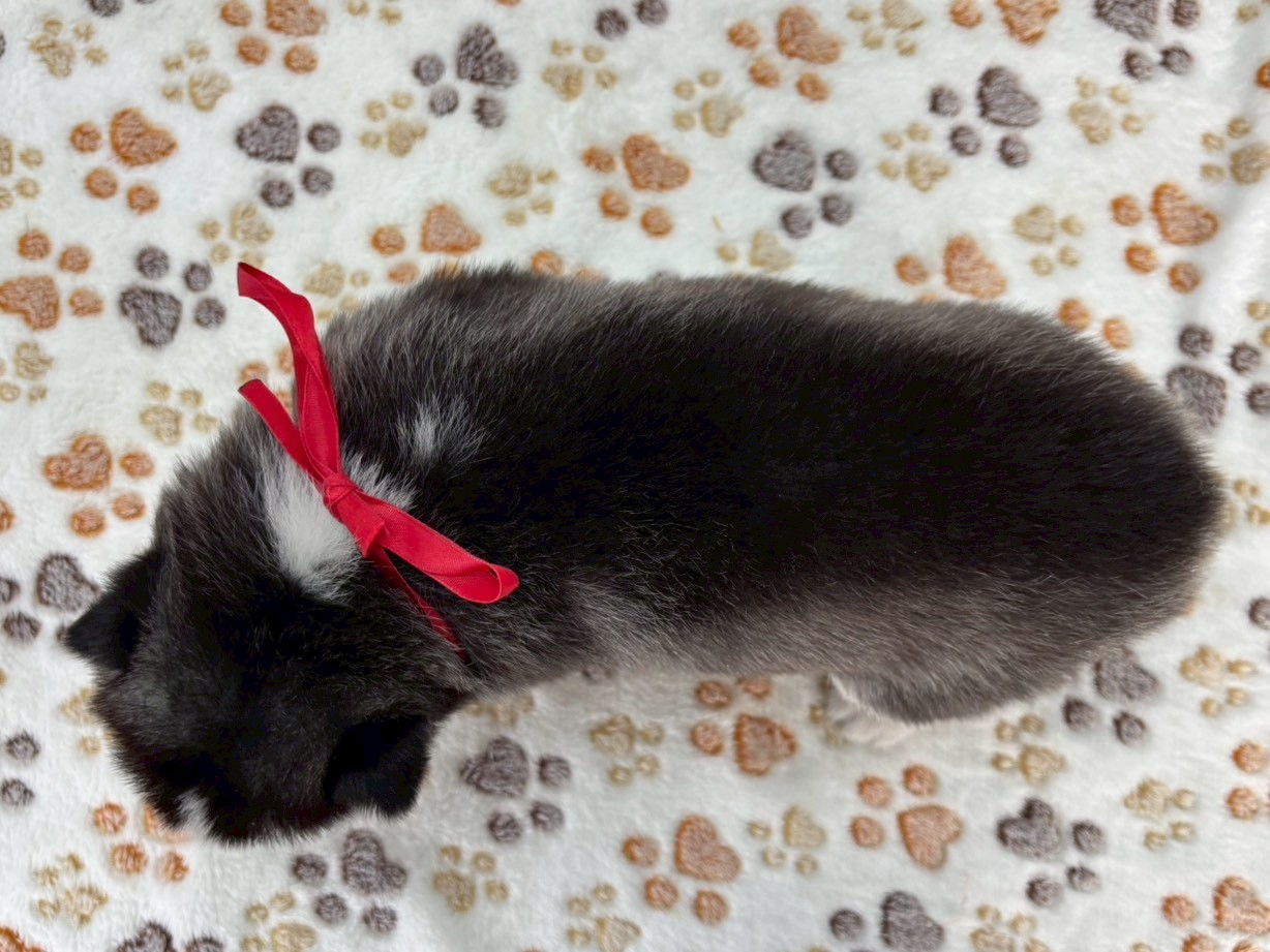 赤ちゃん写真2-3