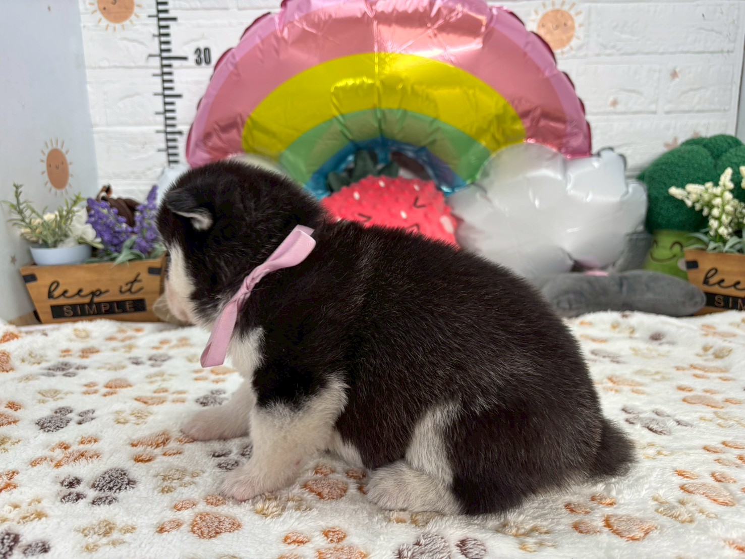 赤ちゃん写真2-2