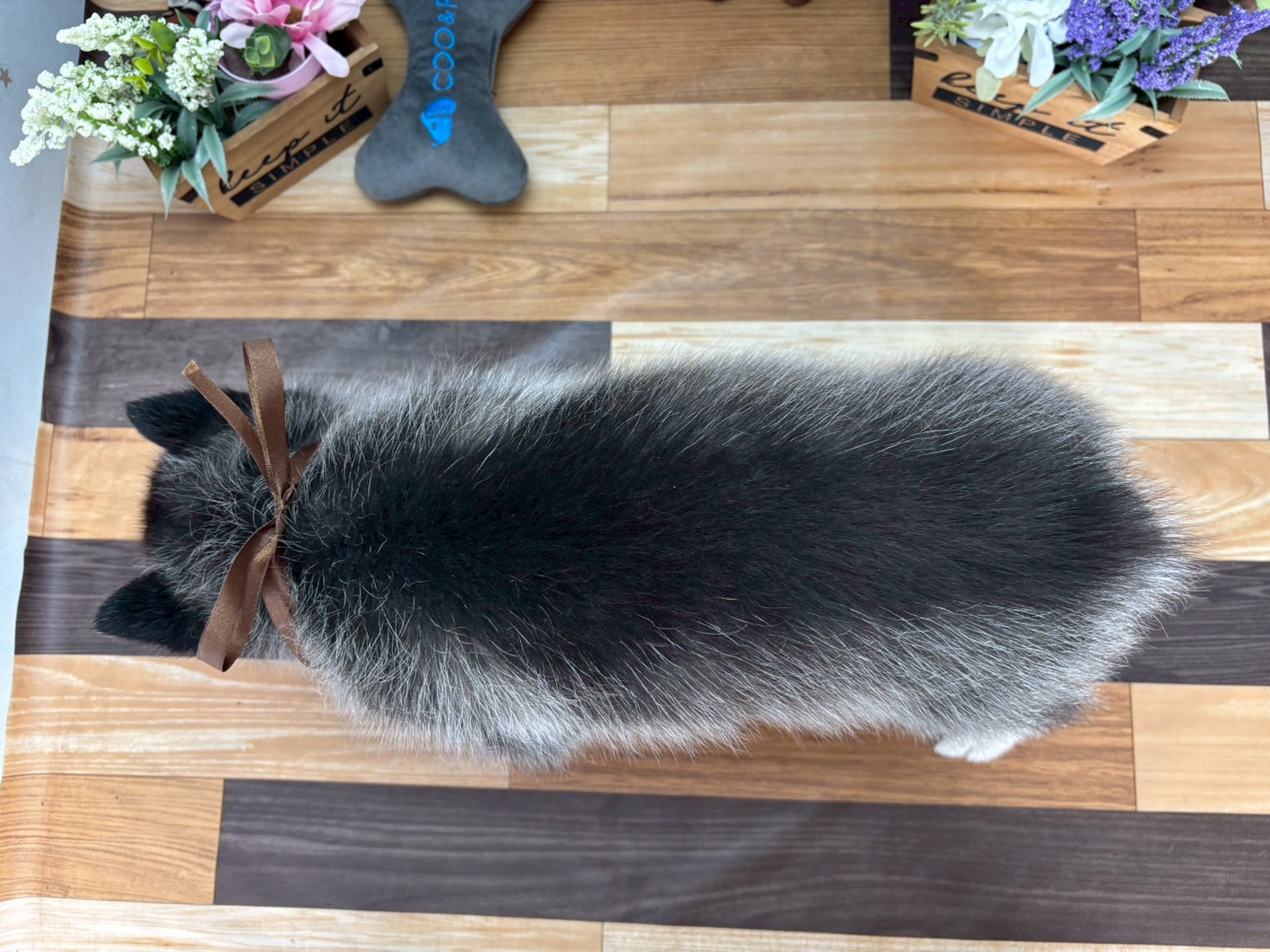 赤ちゃん写真3-3