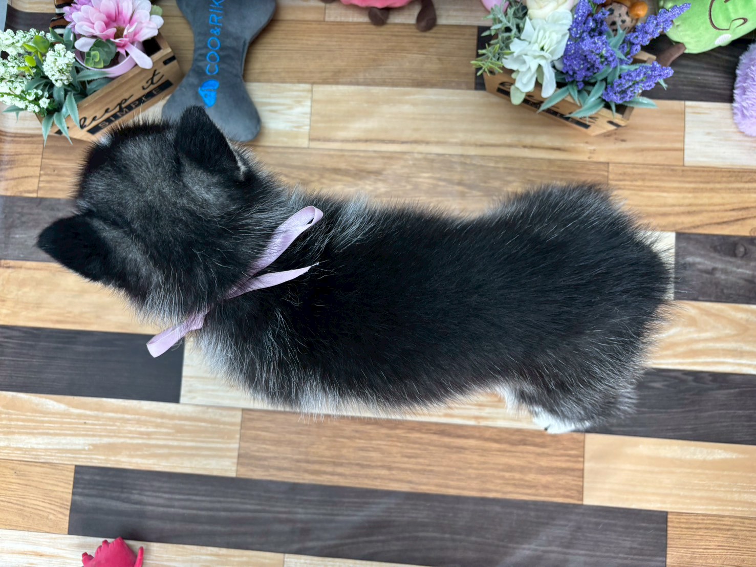 赤ちゃん写真3-3