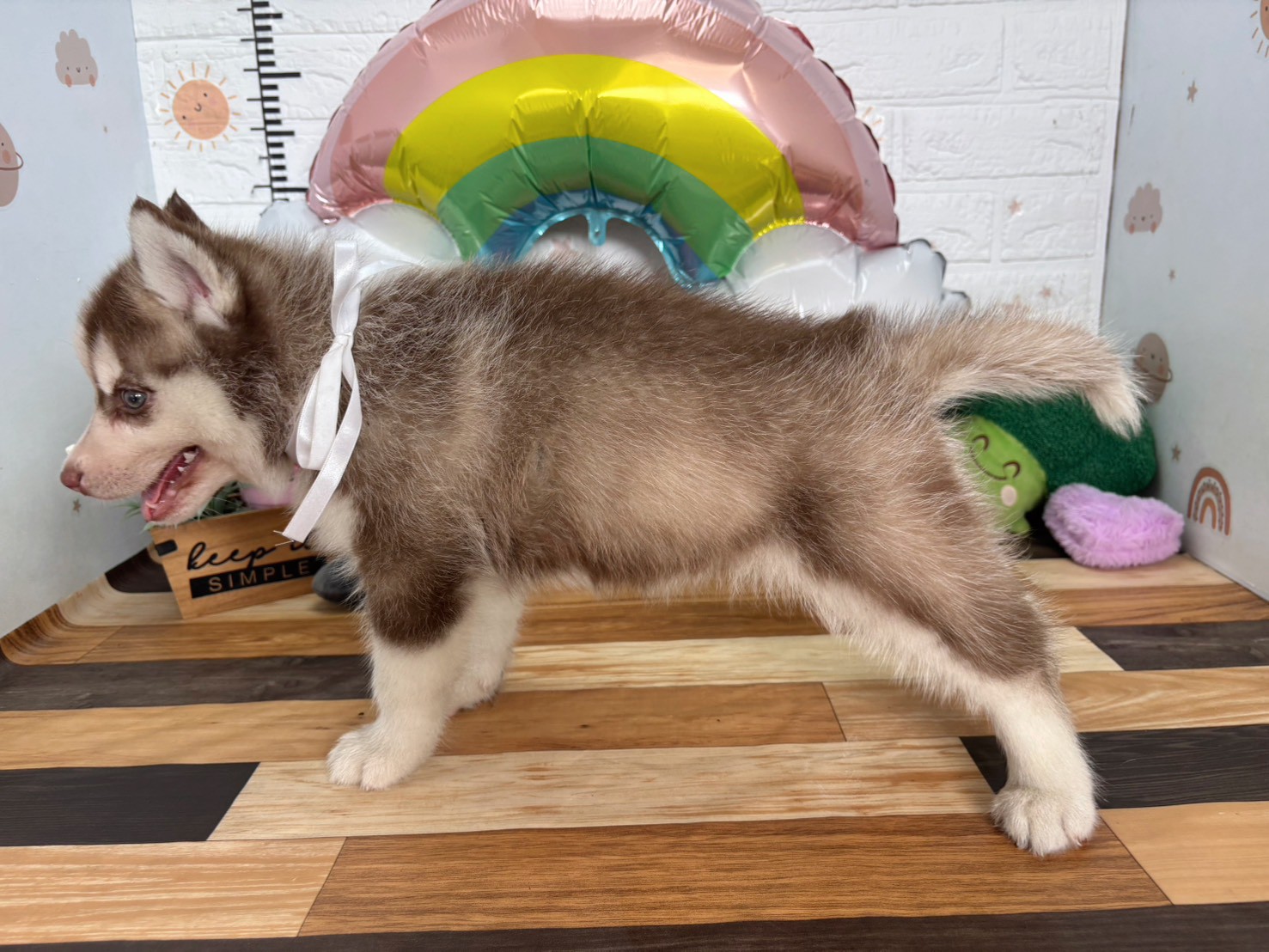 赤ちゃん写真3-2