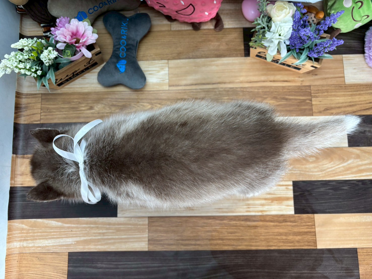 赤ちゃん写真3-3