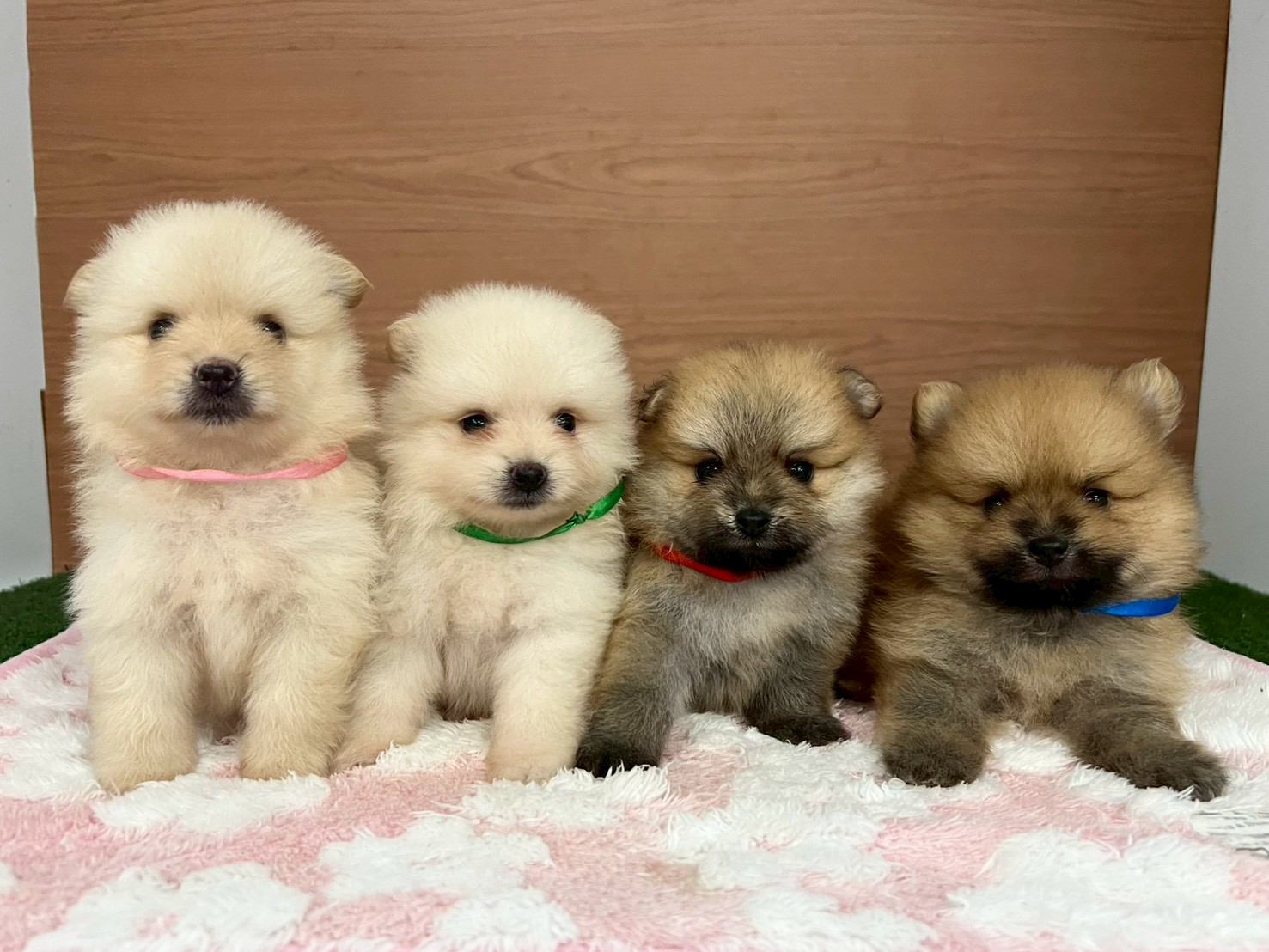 赤ちゃん写真2-3