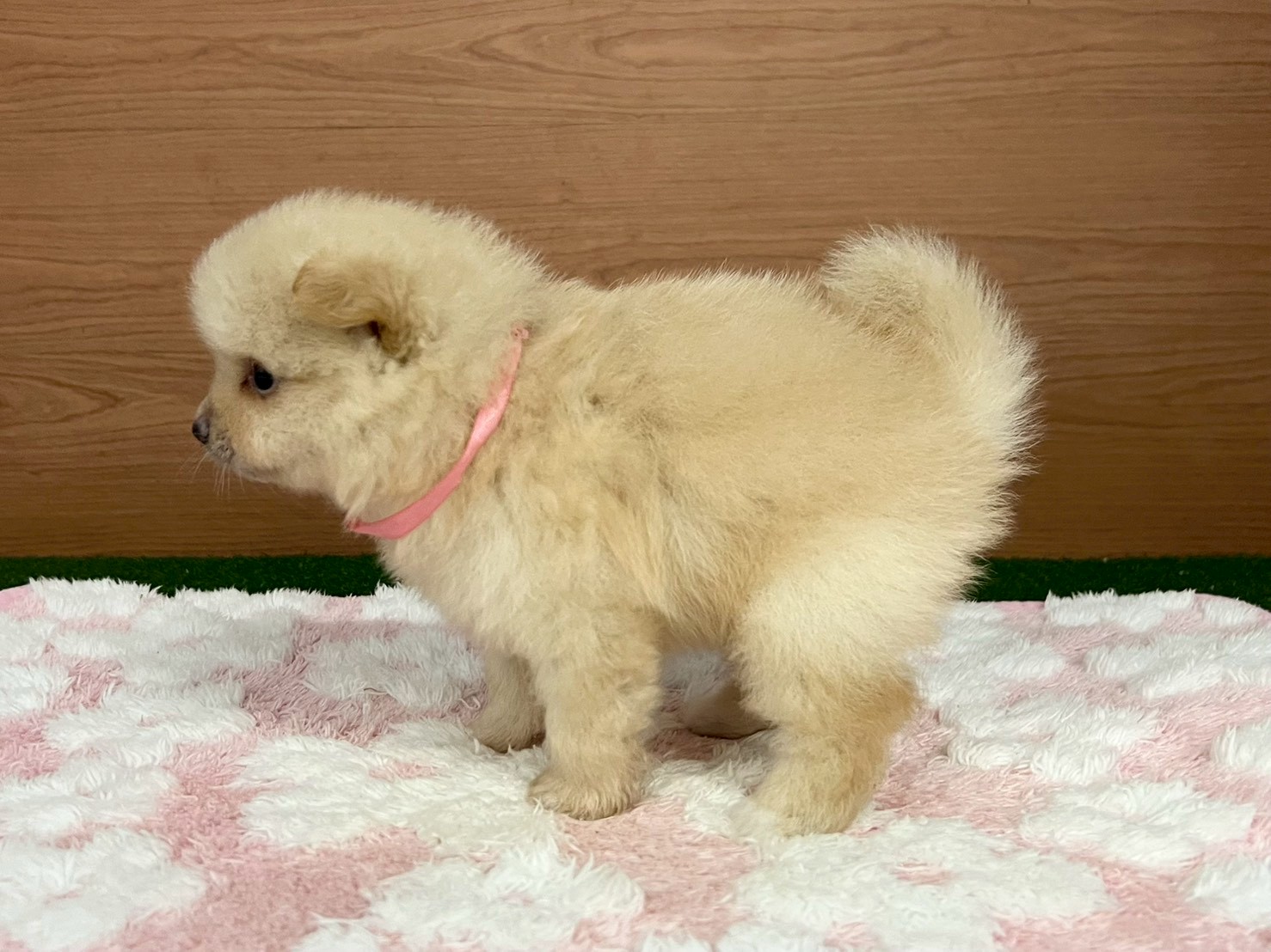 赤ちゃん写真2-2