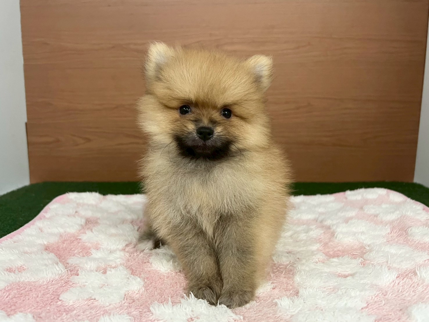 赤ちゃん写真3-1