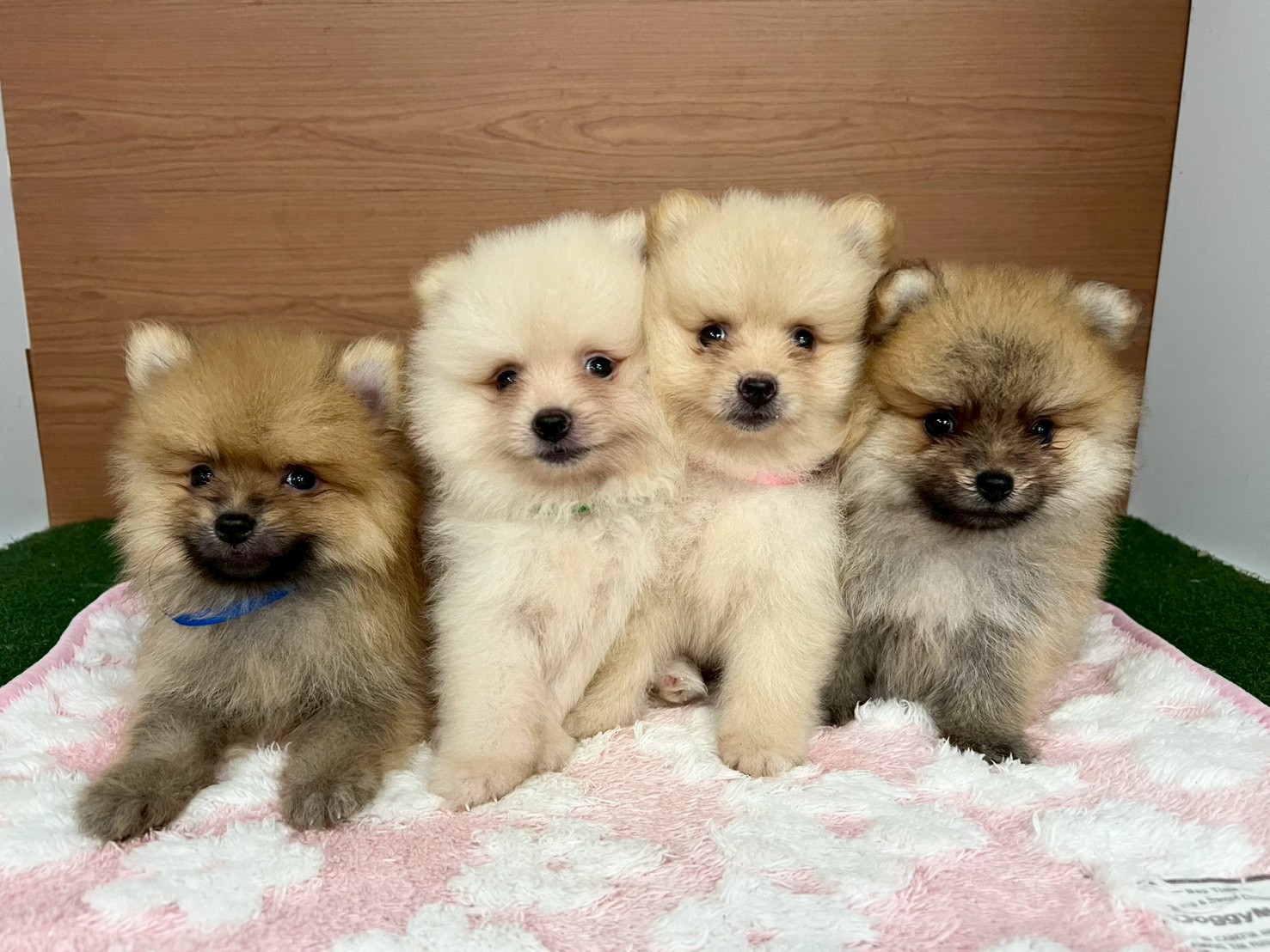 赤ちゃん写真3-3