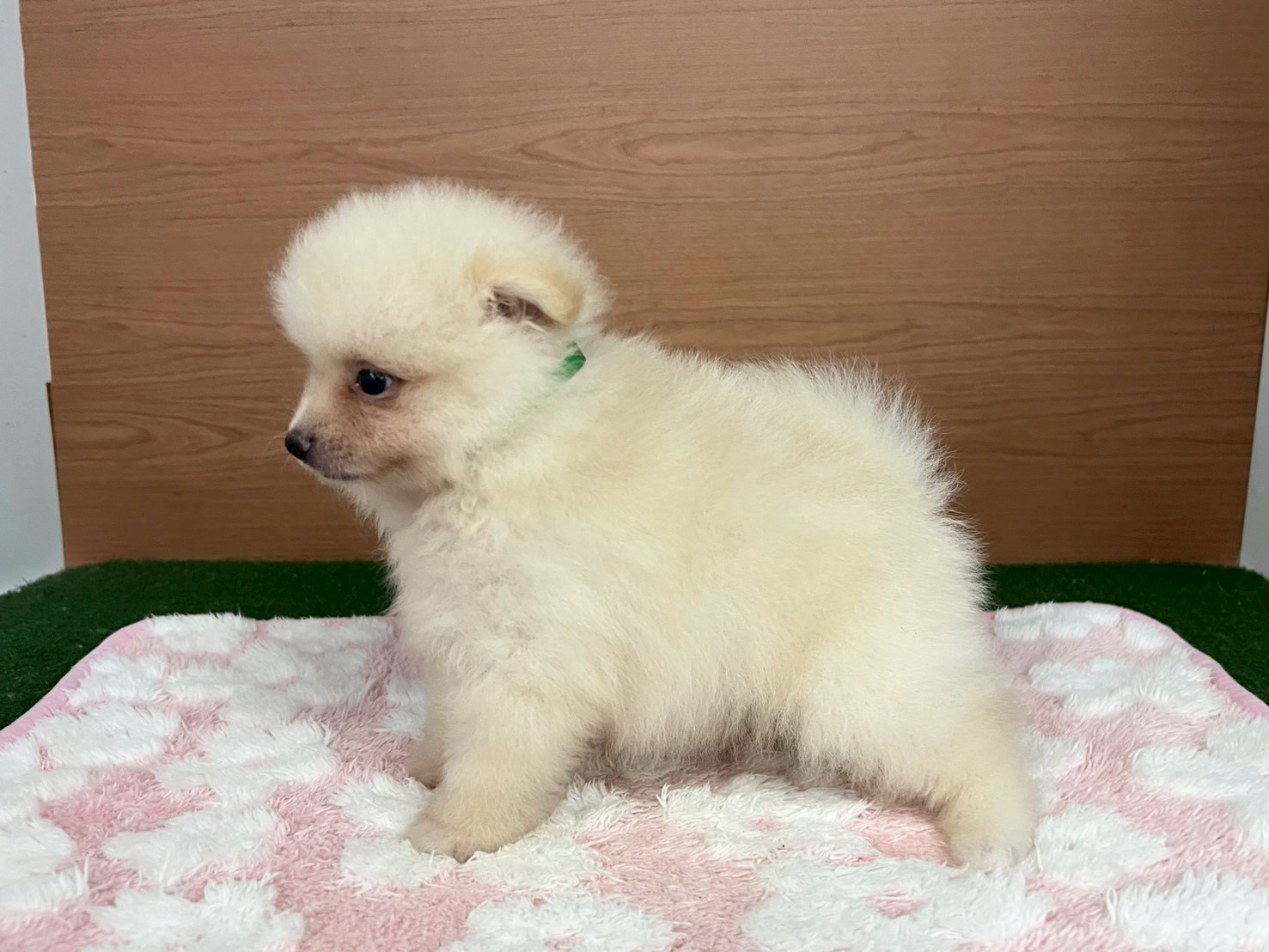 赤ちゃん写真3-2