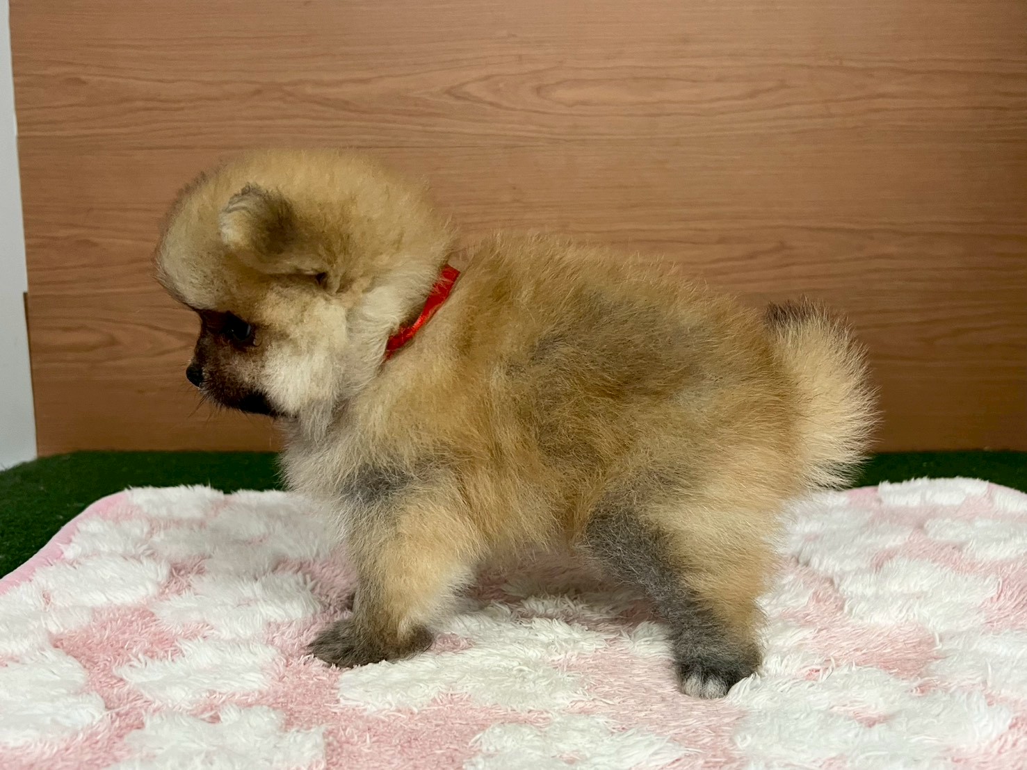 赤ちゃん写真3-2