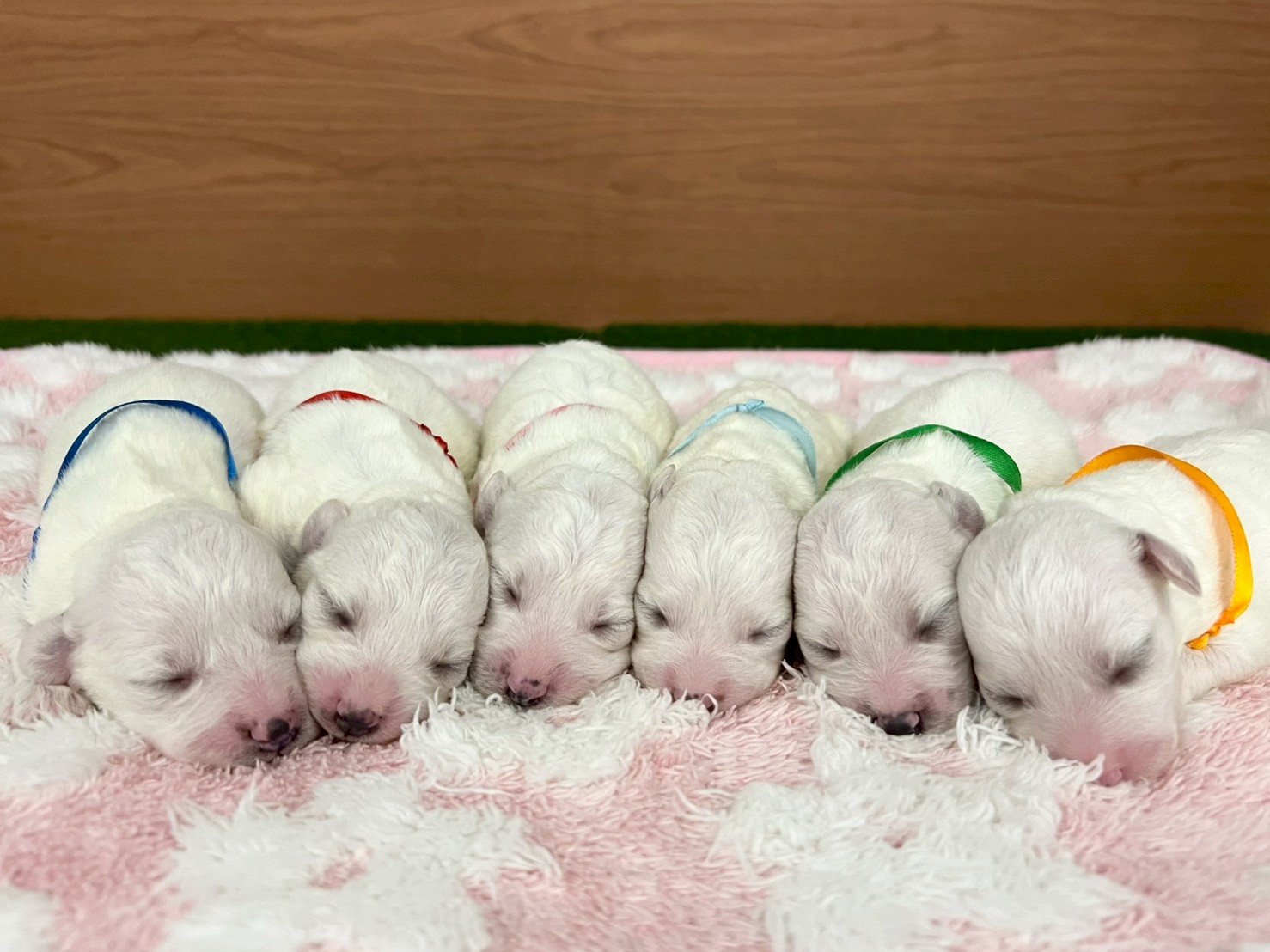 赤ちゃん写真1-3
