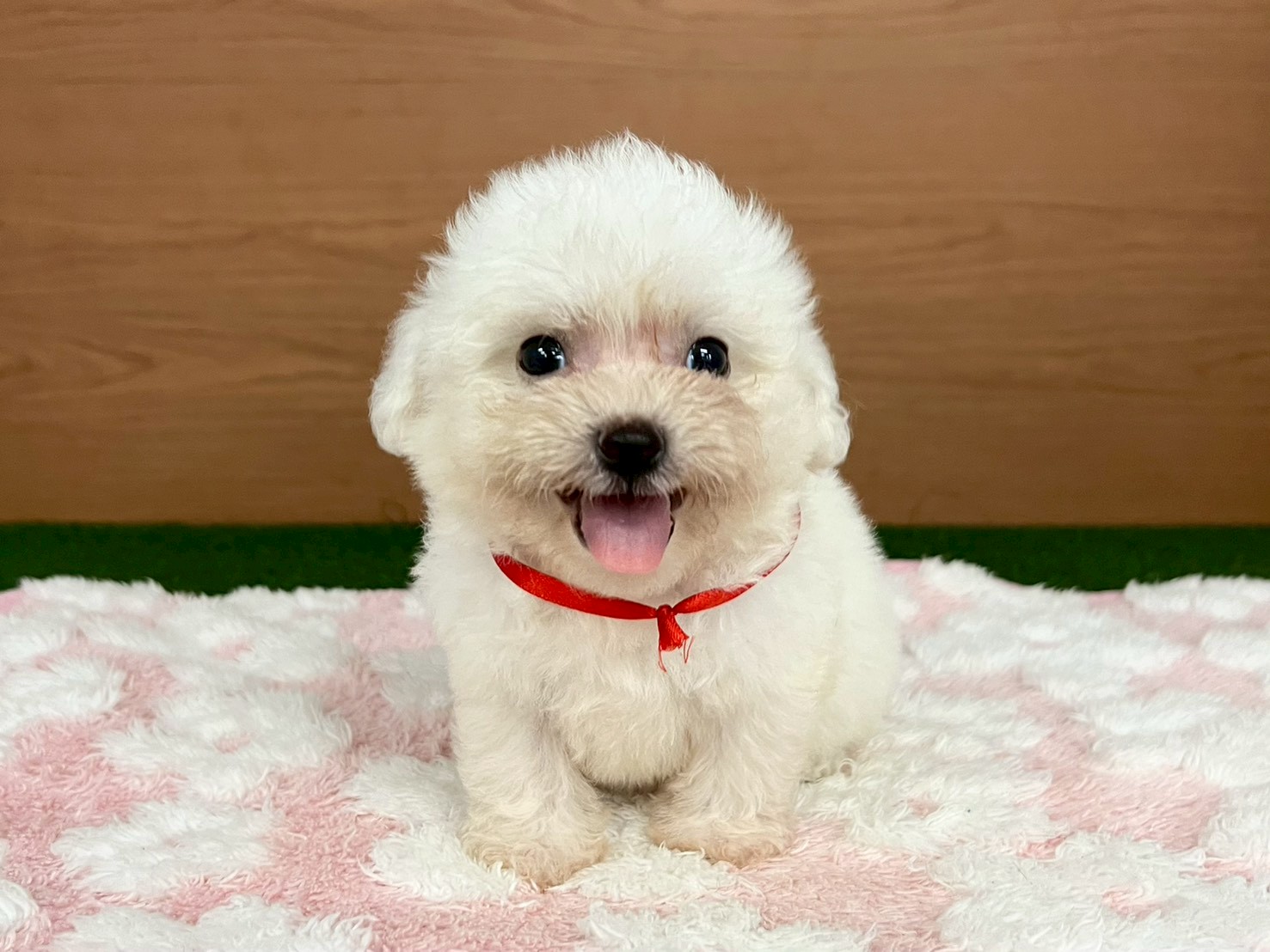 赤ちゃん写真3-1