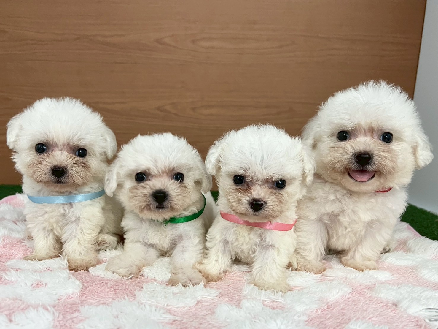 赤ちゃん写真3-3