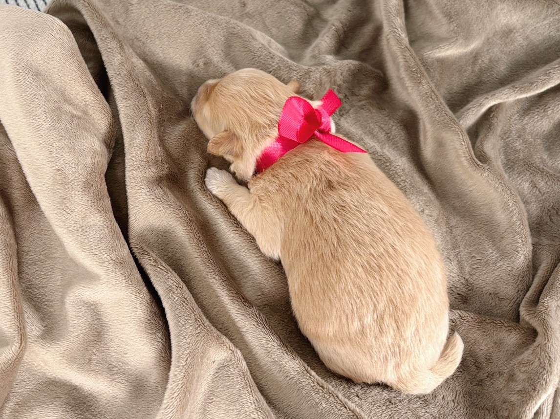 赤ちゃん写真1-3