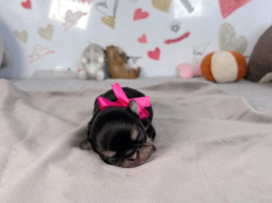 赤ちゃん写真1-1
