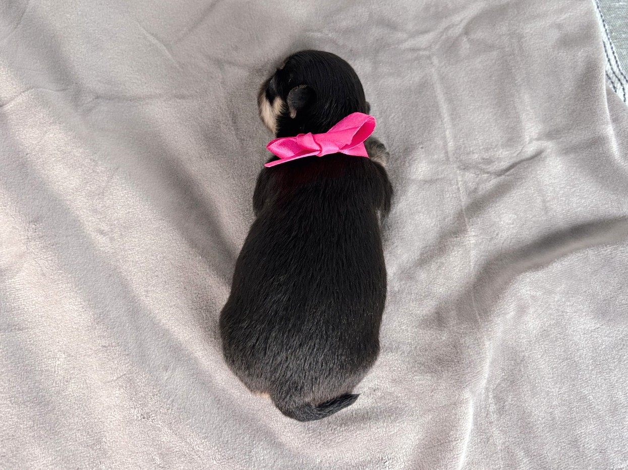 赤ちゃん写真1-3