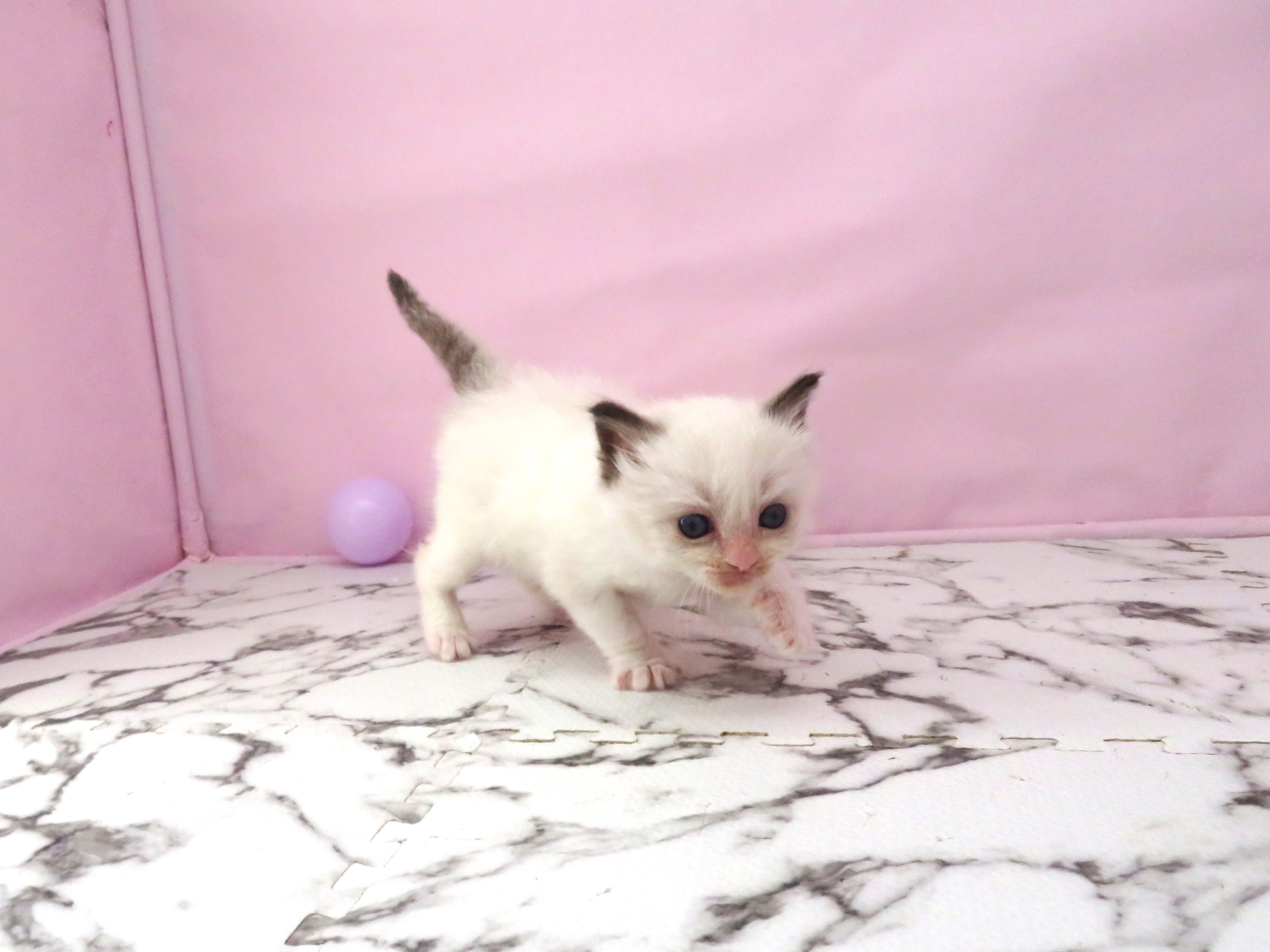赤ちゃん写真2-2