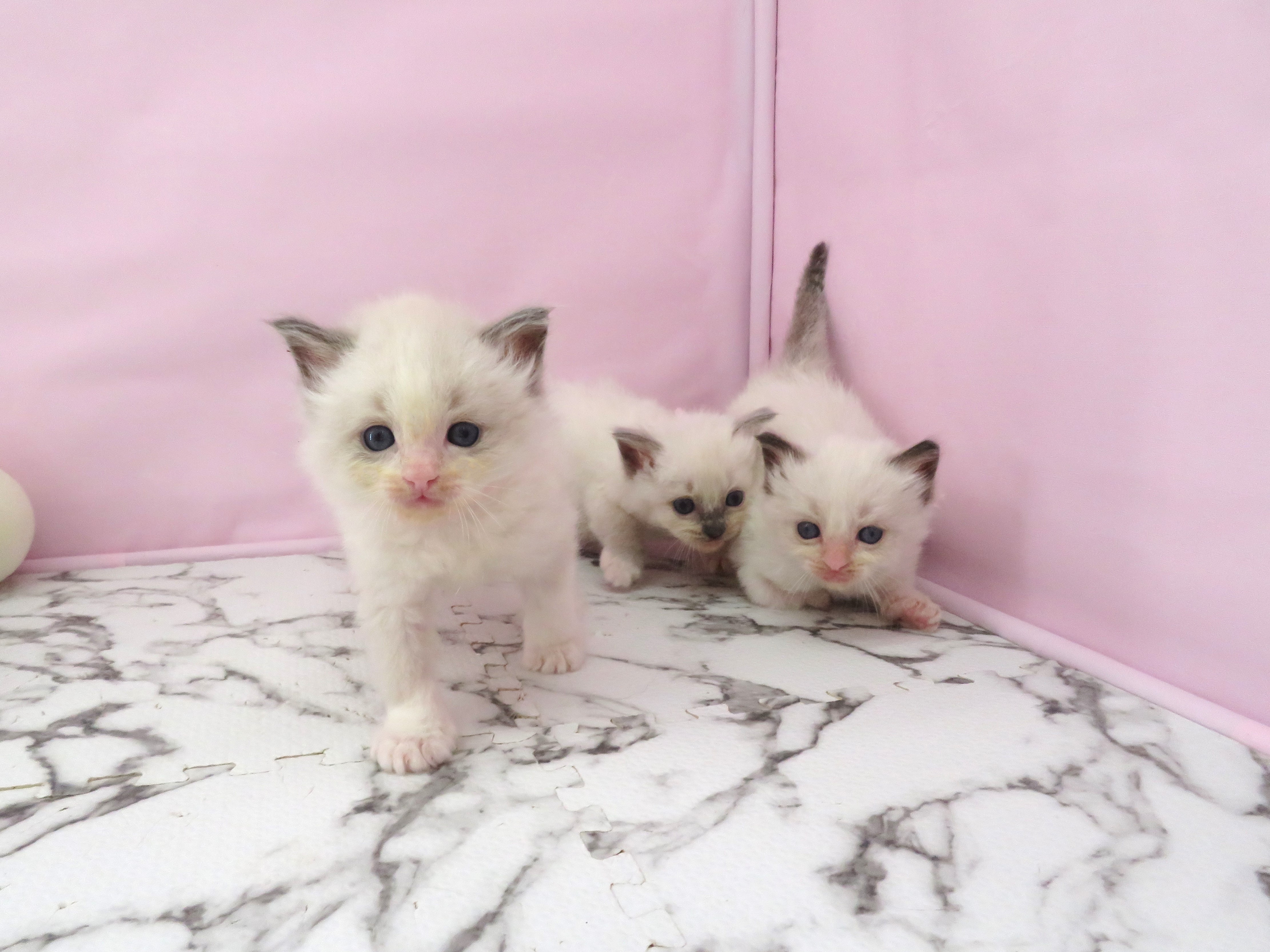 赤ちゃん写真2-3