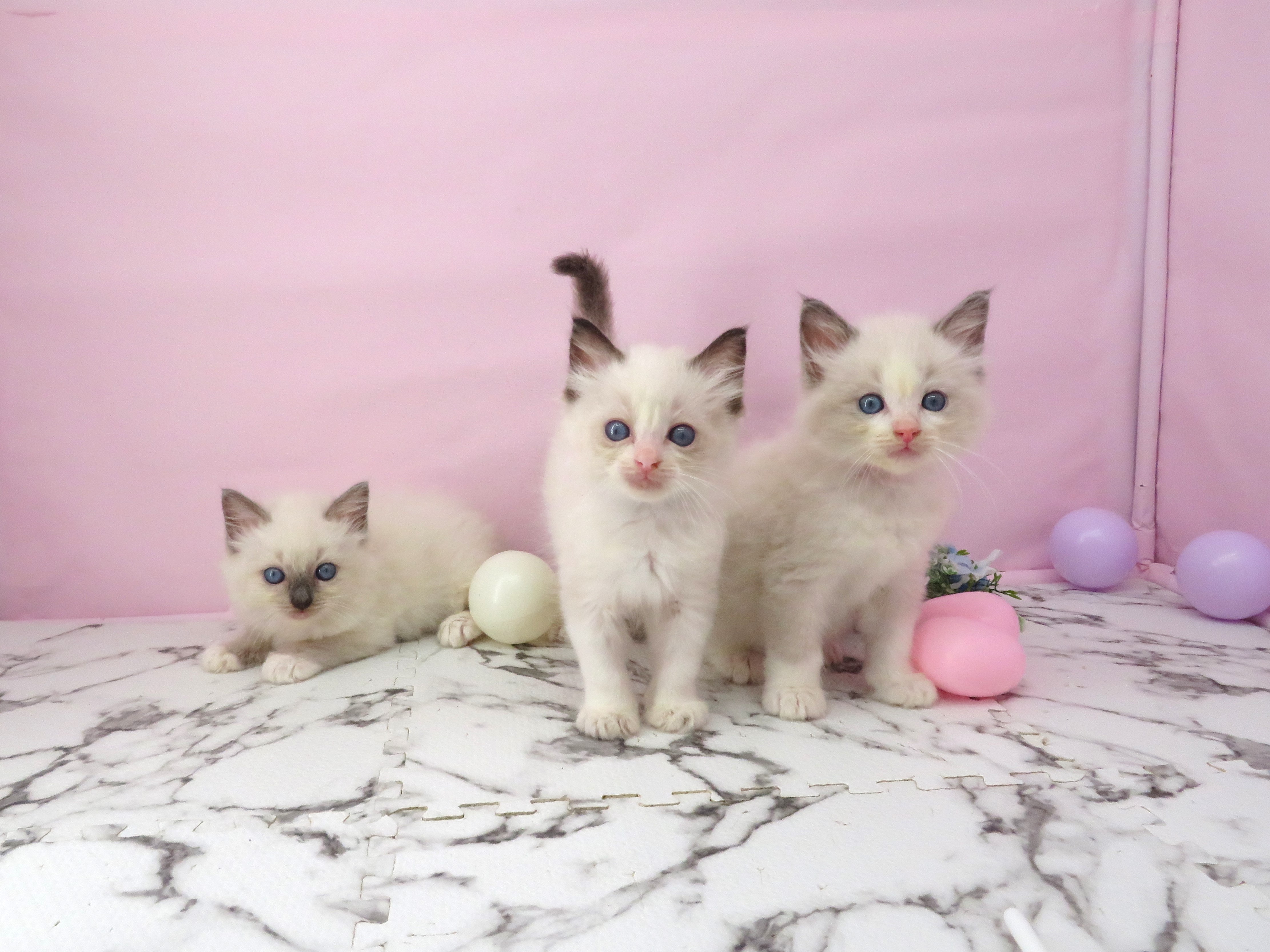 赤ちゃん写真3-3