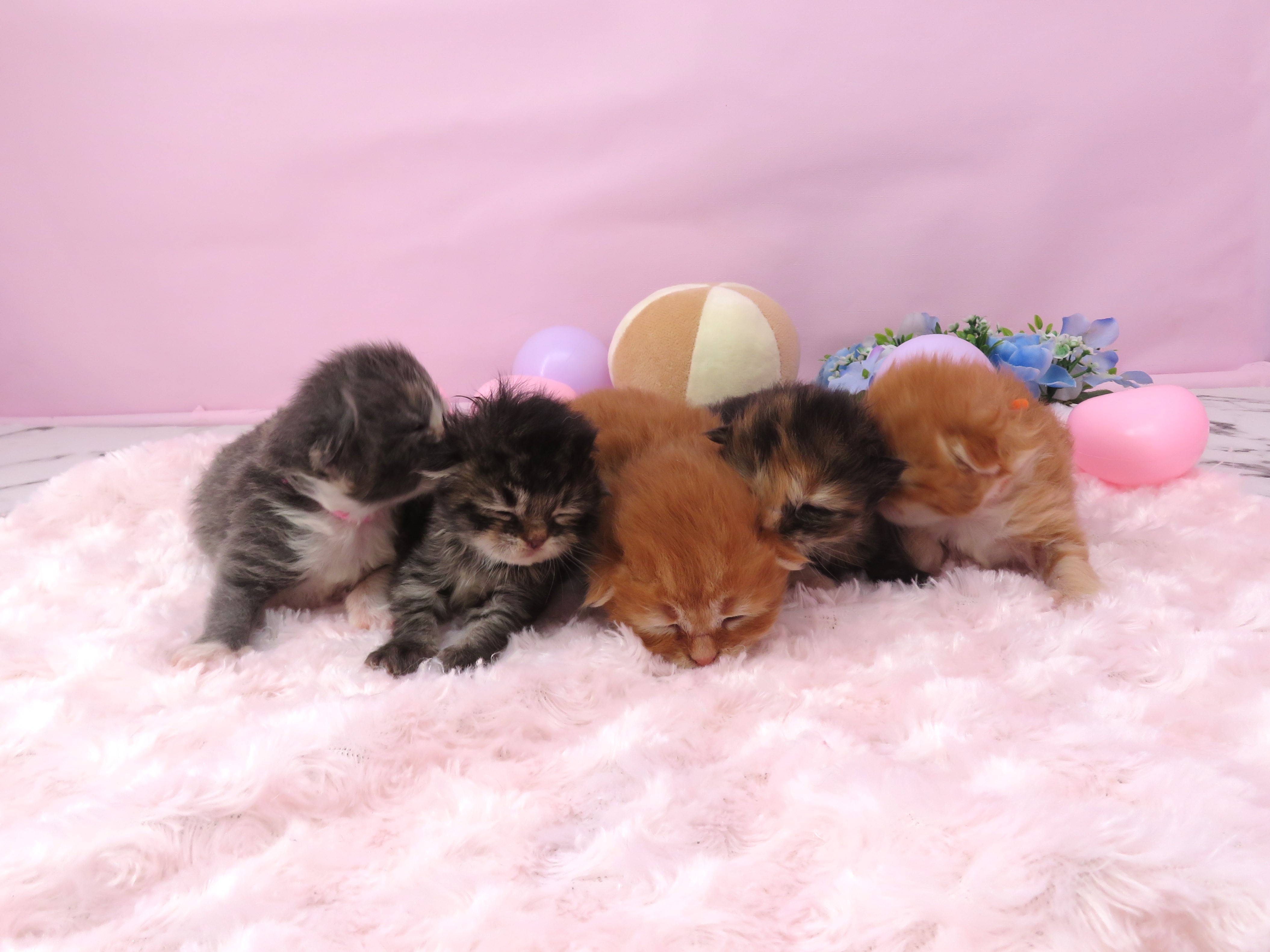 赤ちゃん写真1-3