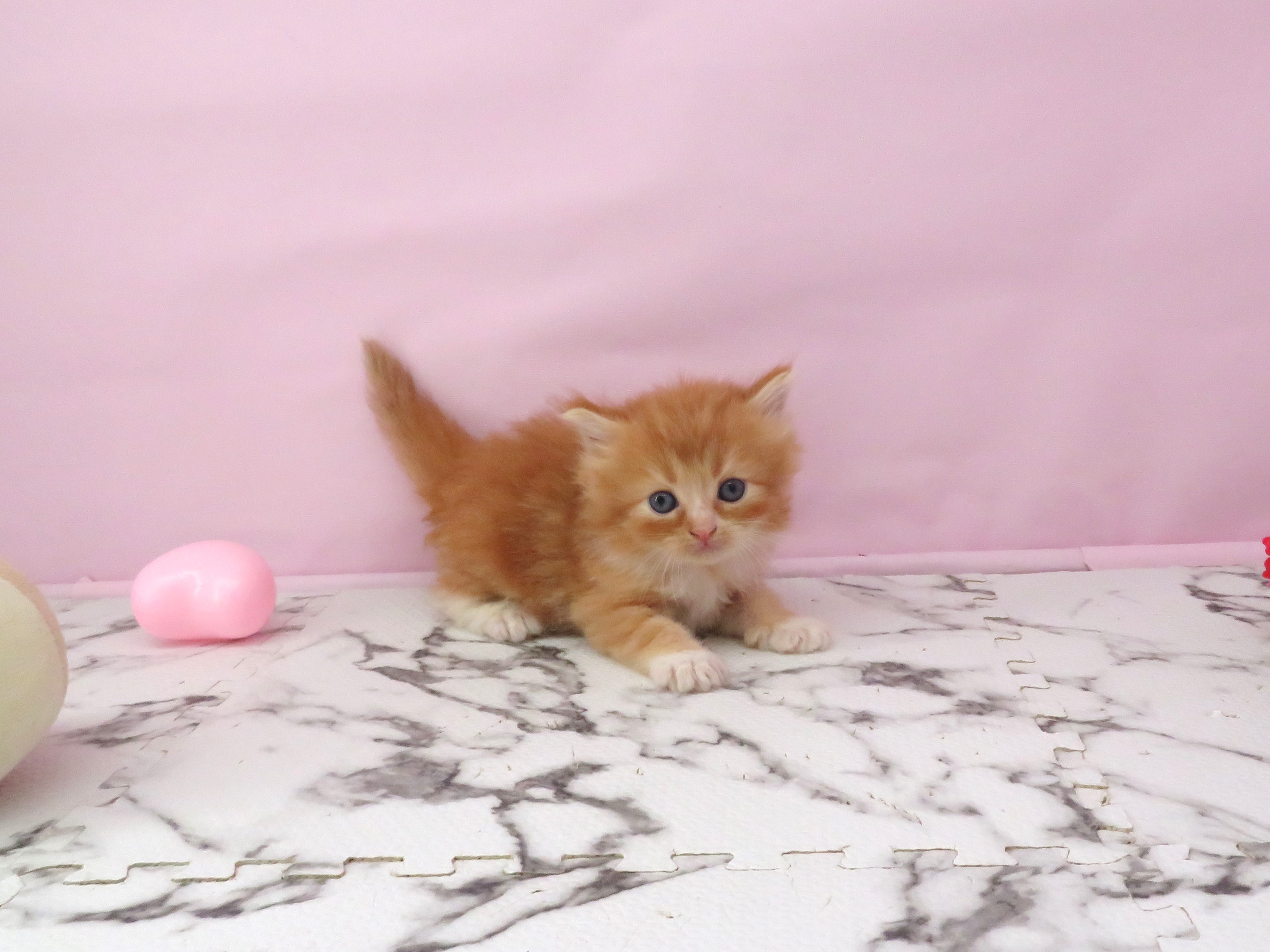 赤ちゃん写真2-1
