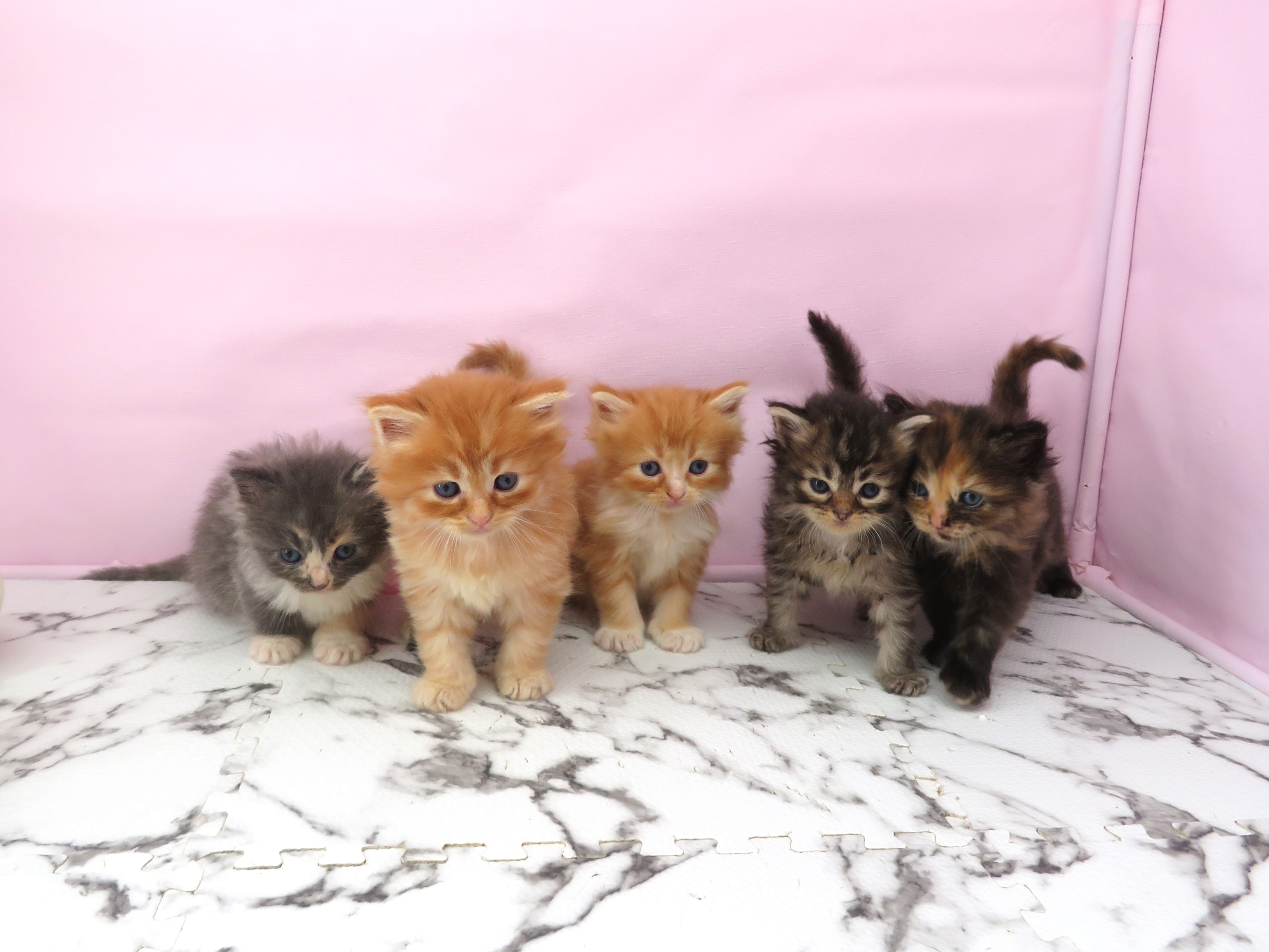 赤ちゃん写真2-3