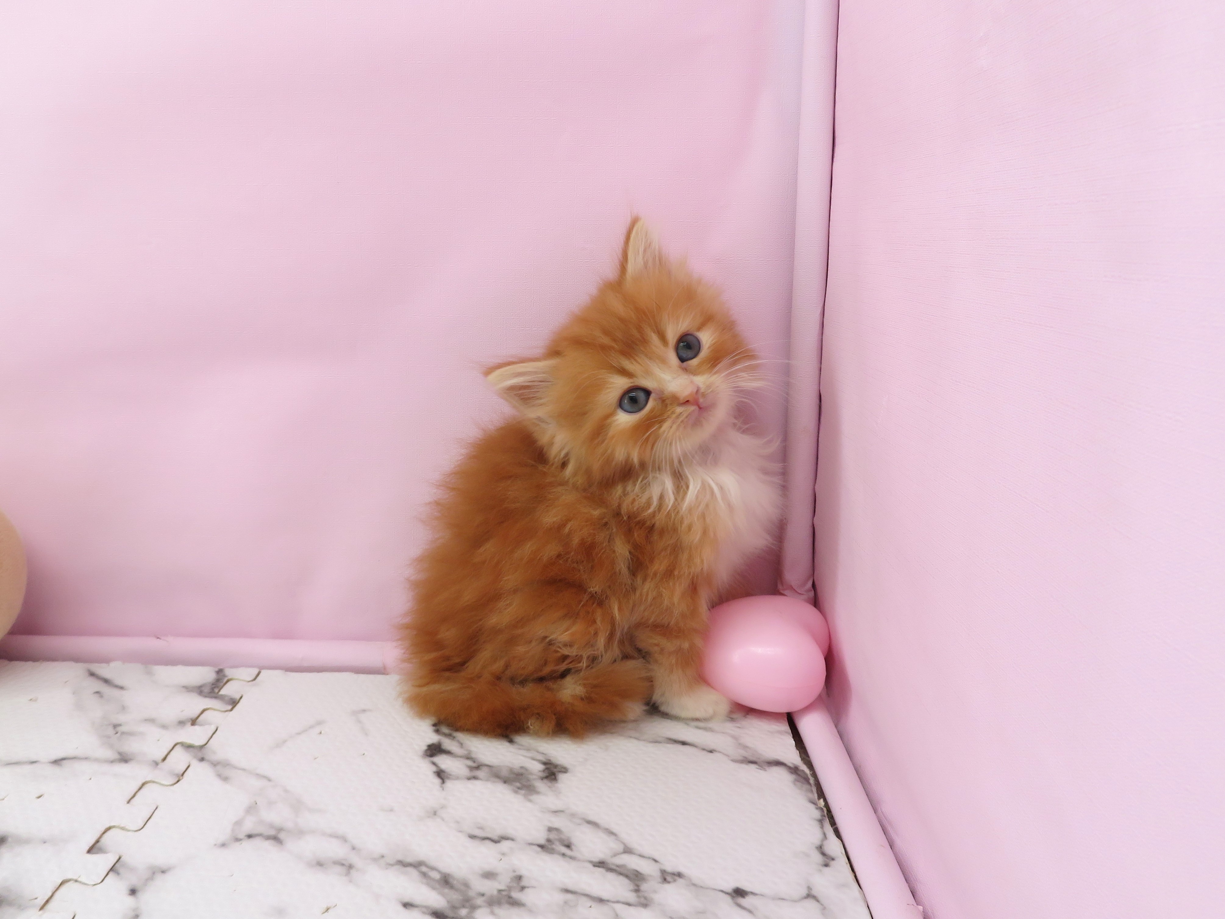赤ちゃん写真3-1