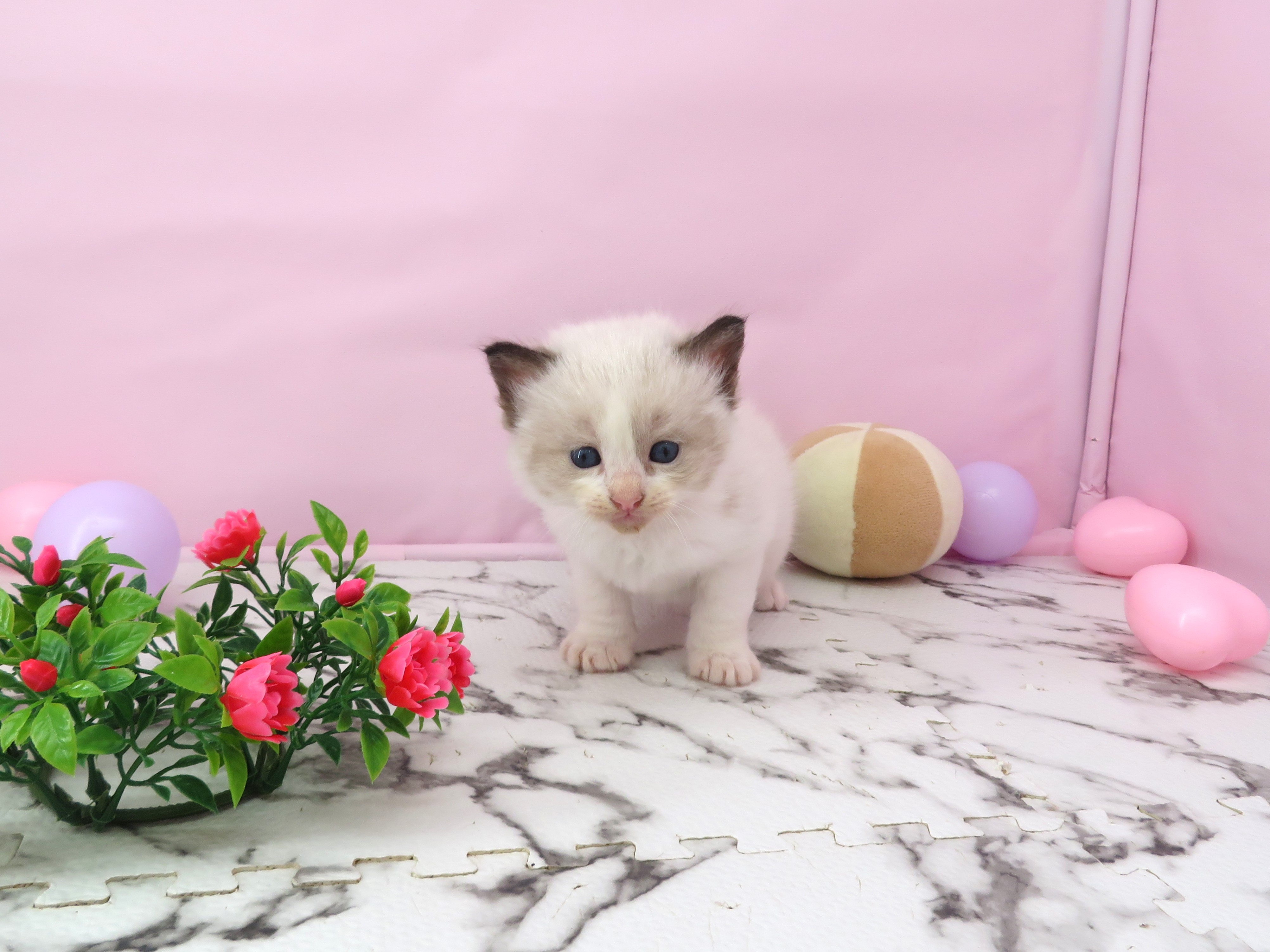 赤ちゃん写真2-1