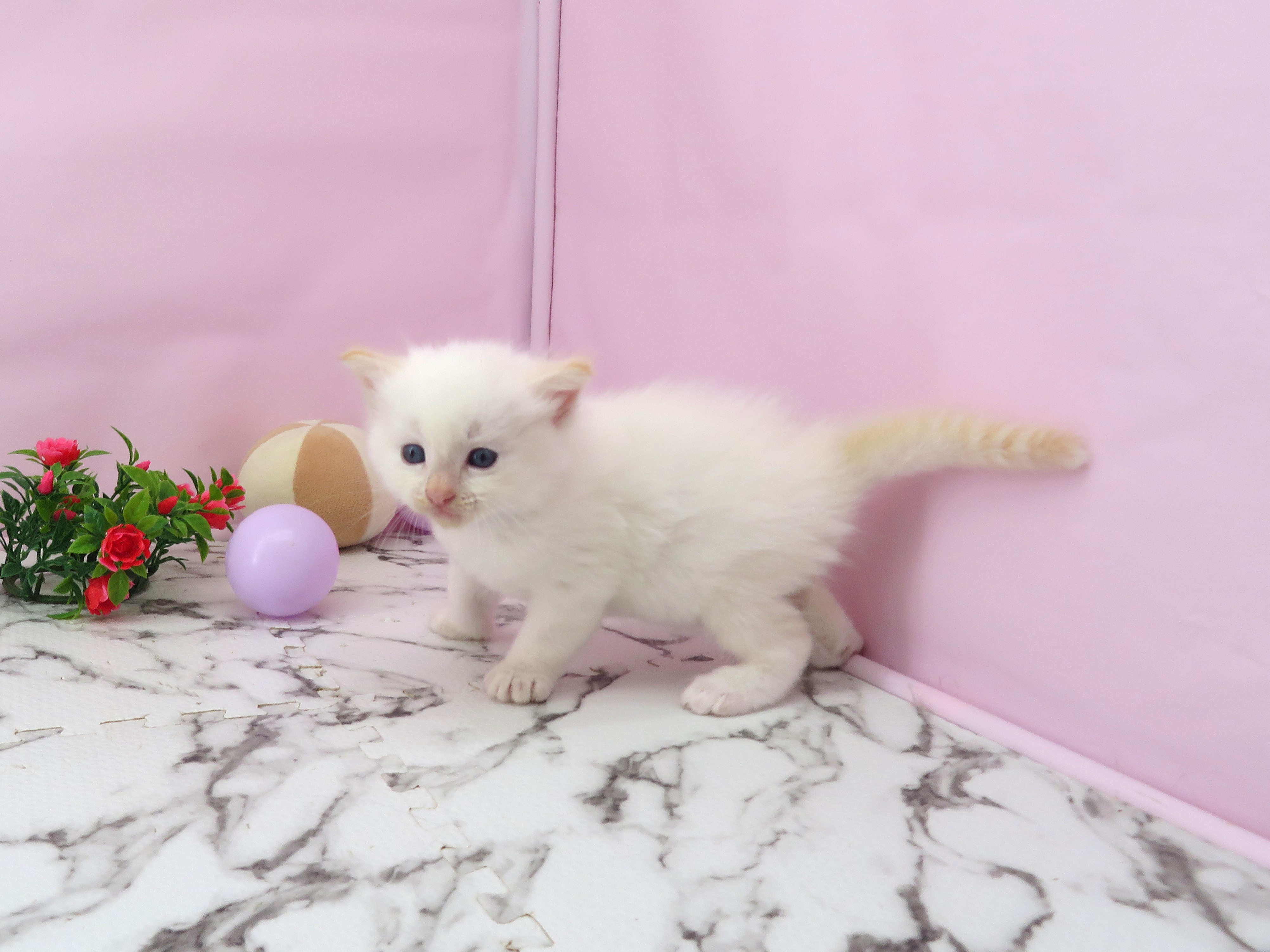赤ちゃん写真2-2