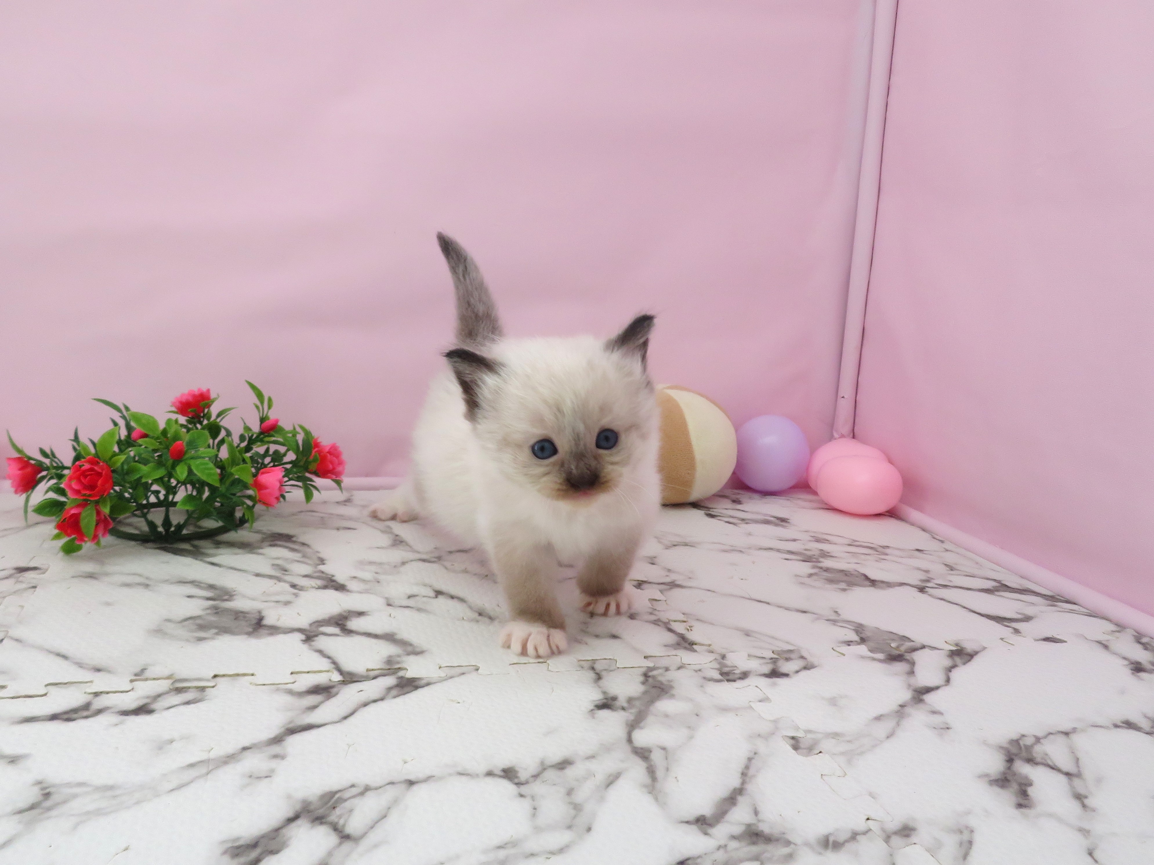 赤ちゃん写真2-1