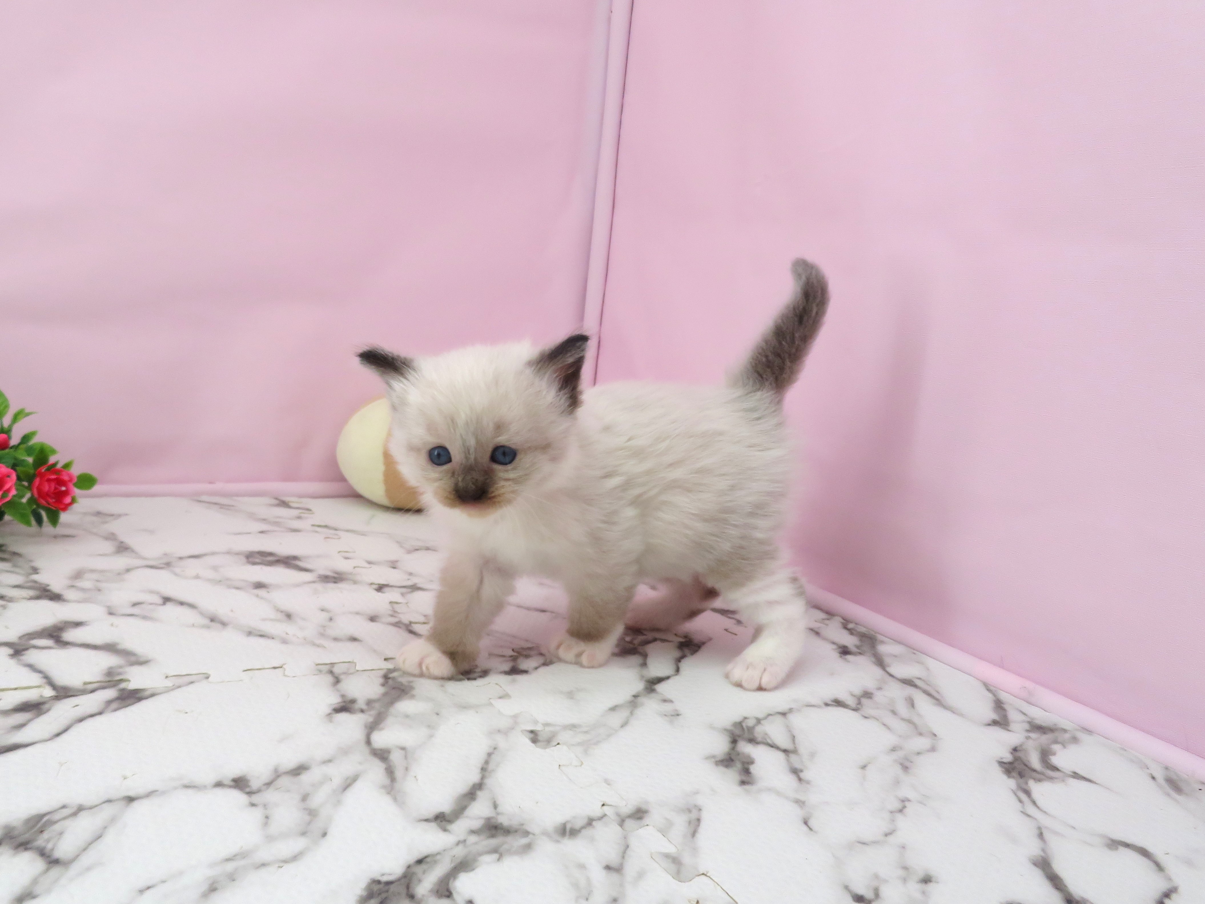 赤ちゃん写真2-2