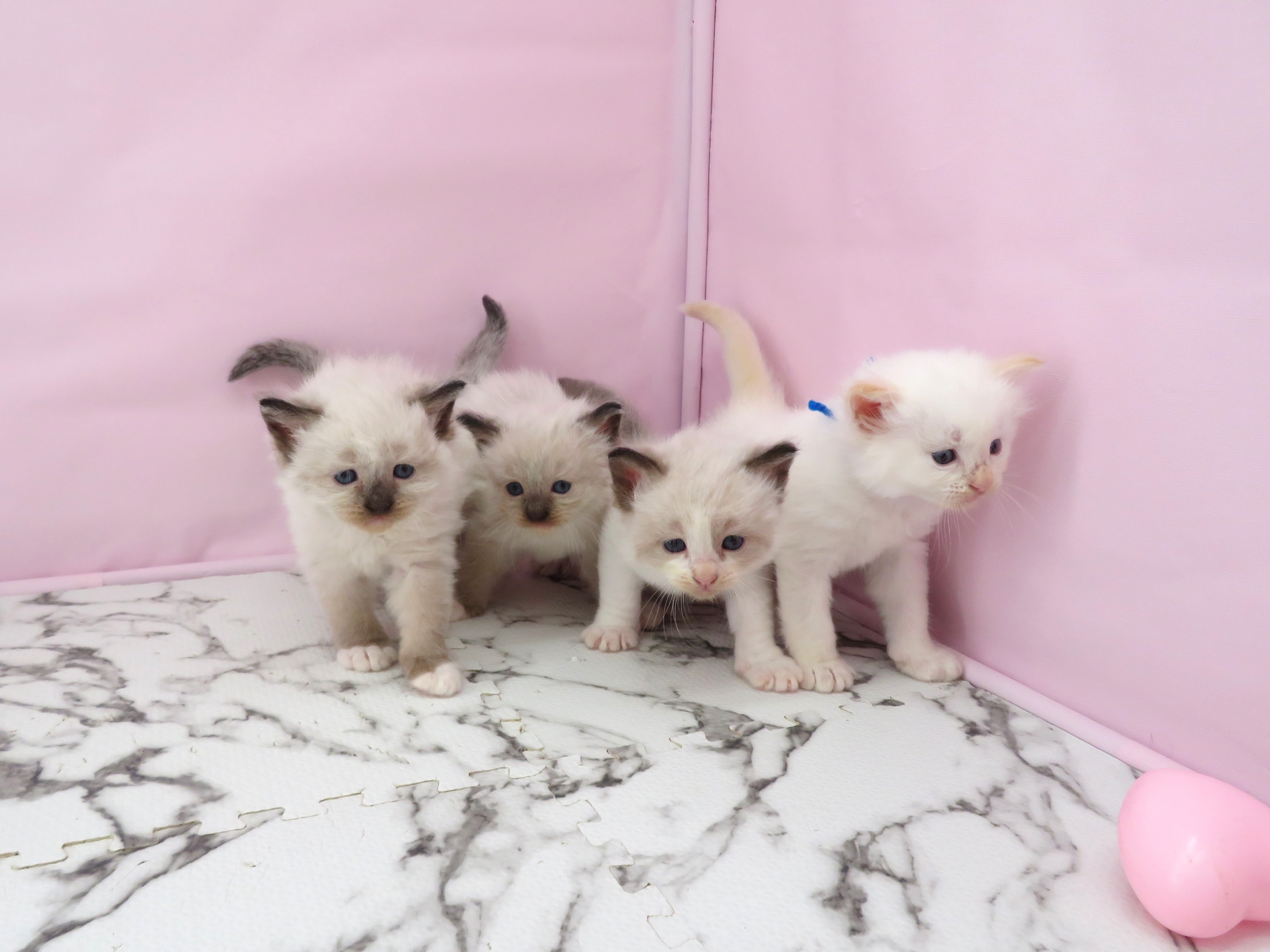 赤ちゃん写真2-3