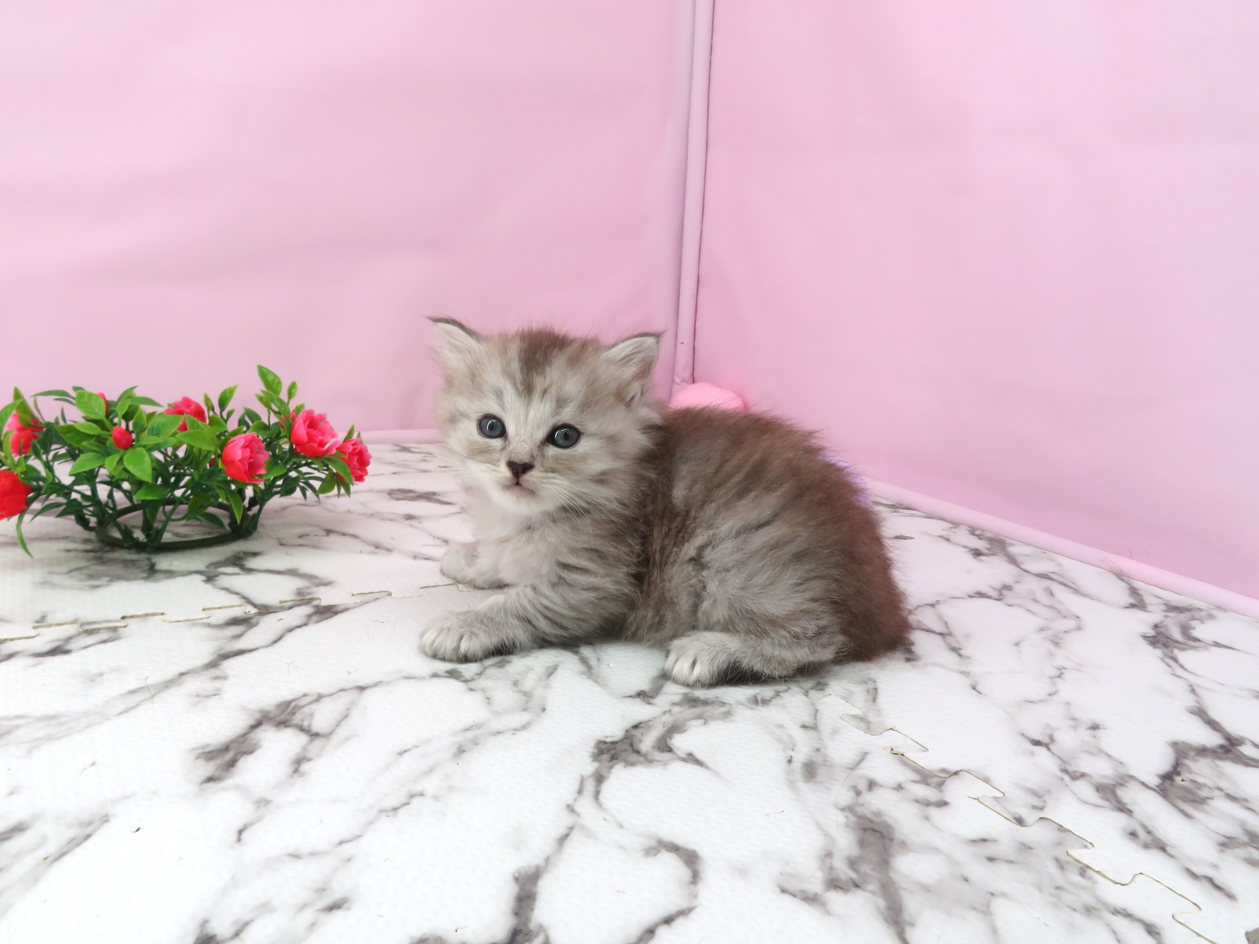 赤ちゃん写真2-2