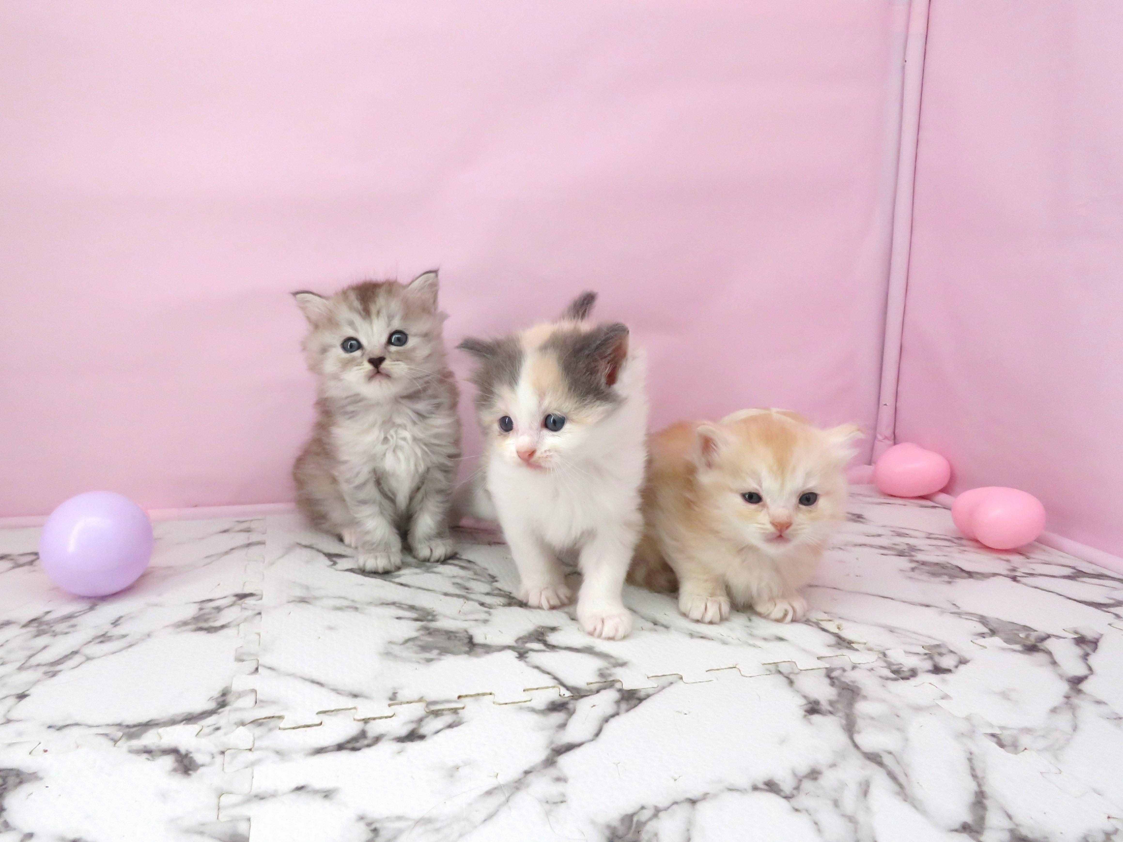 赤ちゃん写真2-3