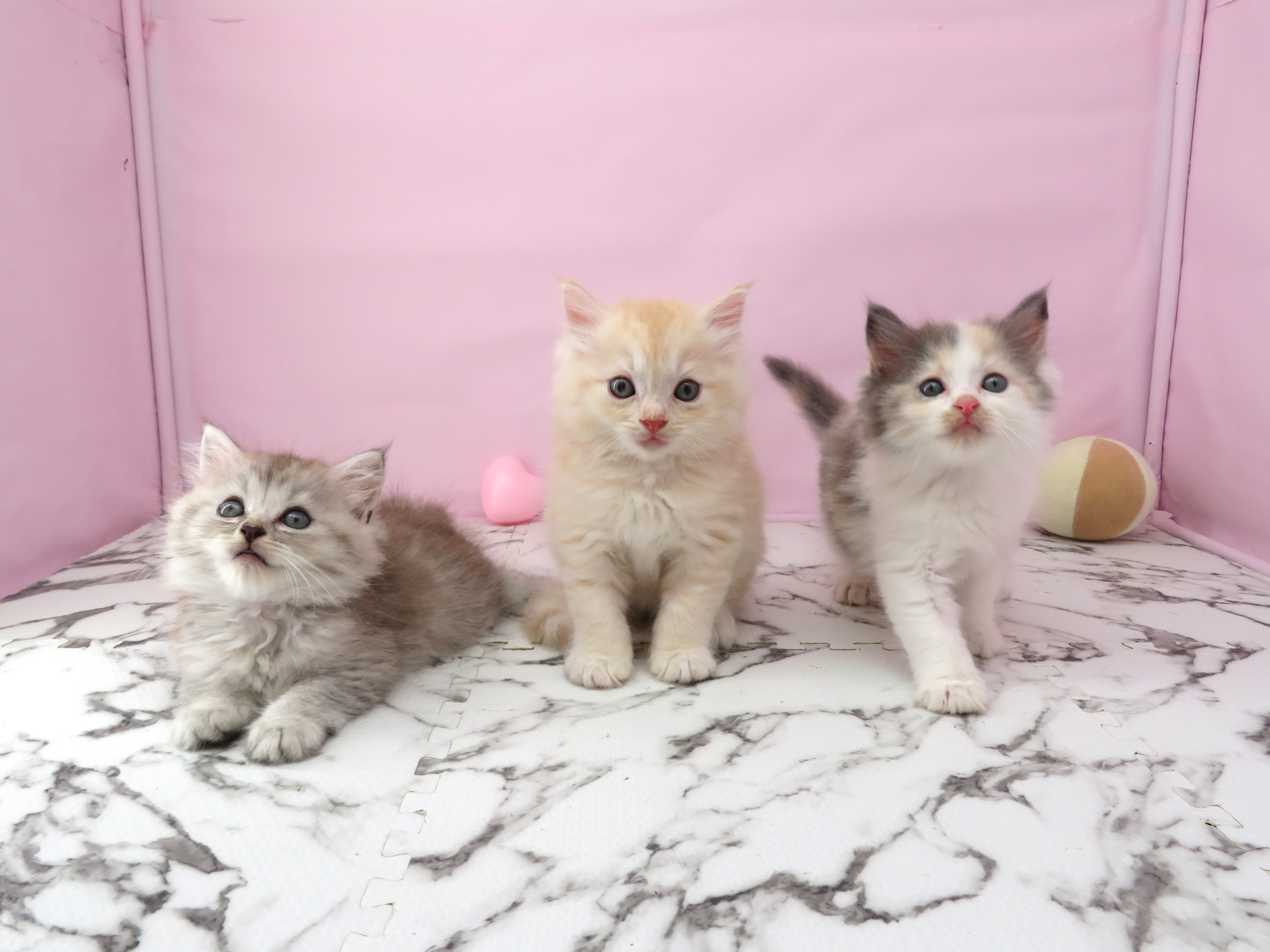 赤ちゃん写真3-3