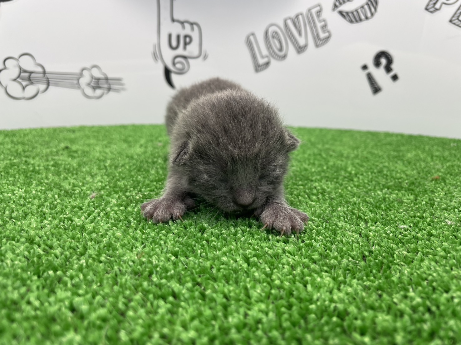 赤ちゃん写真1-1