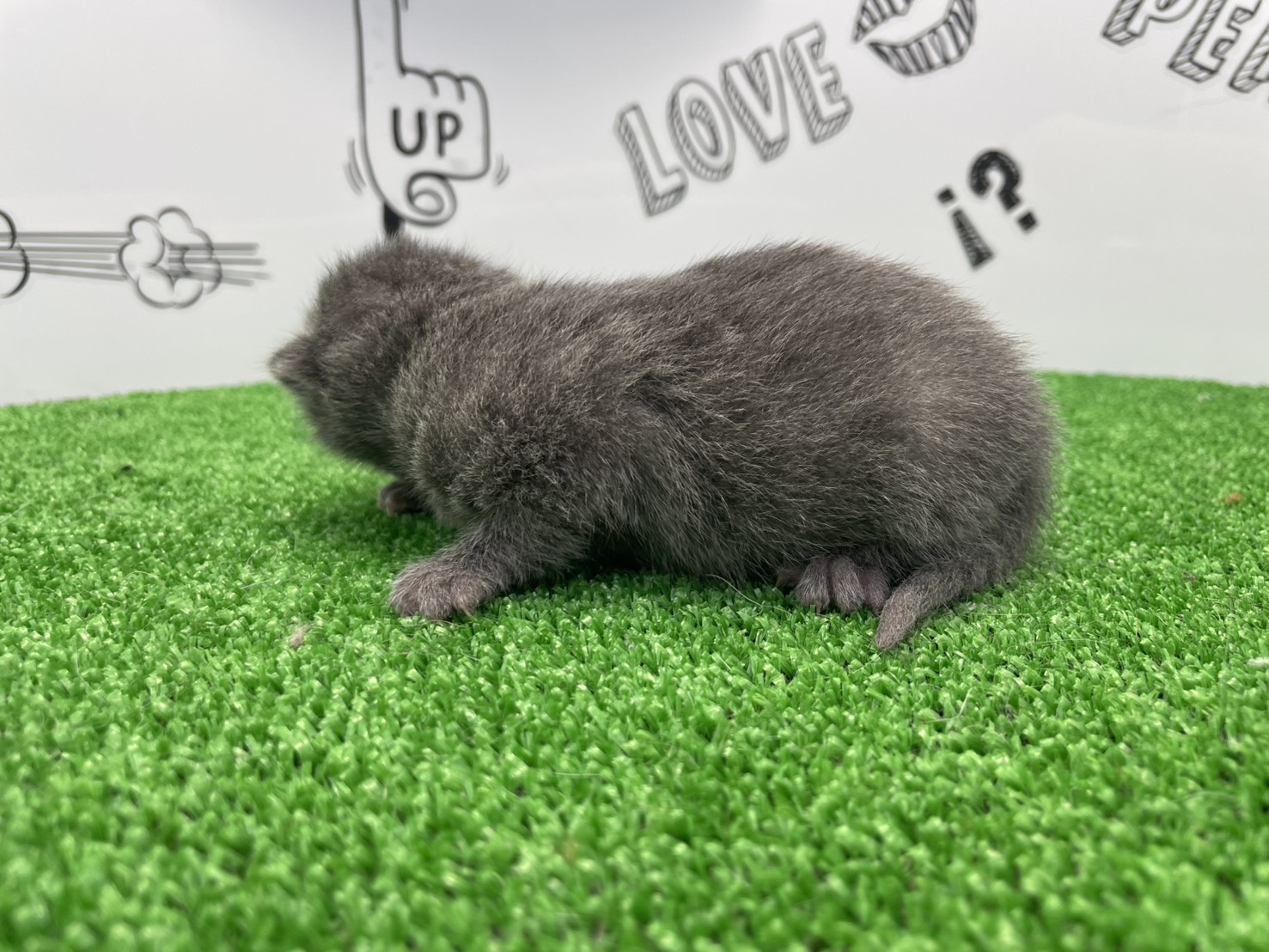 赤ちゃん写真1-2