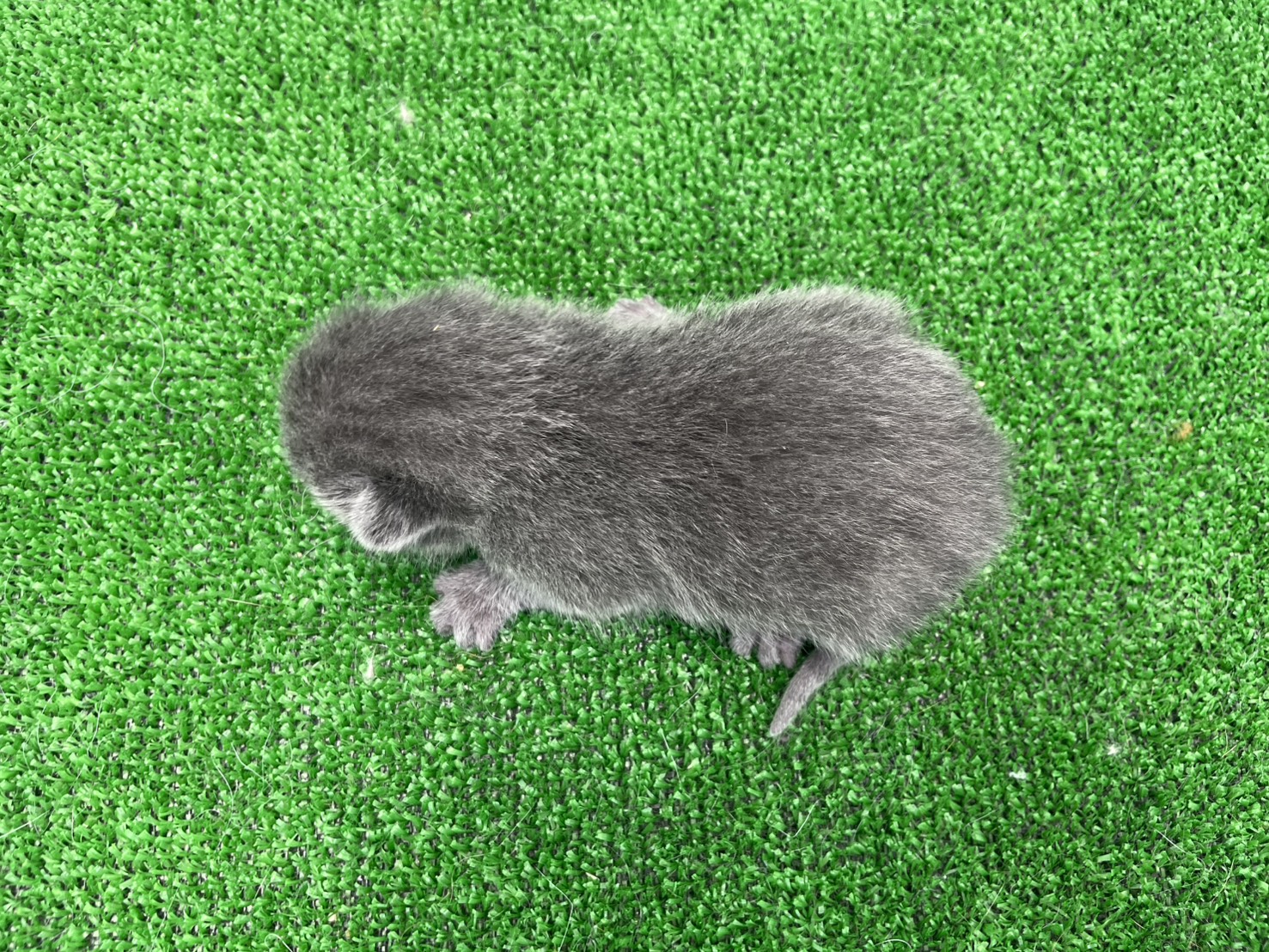 赤ちゃん写真1-3