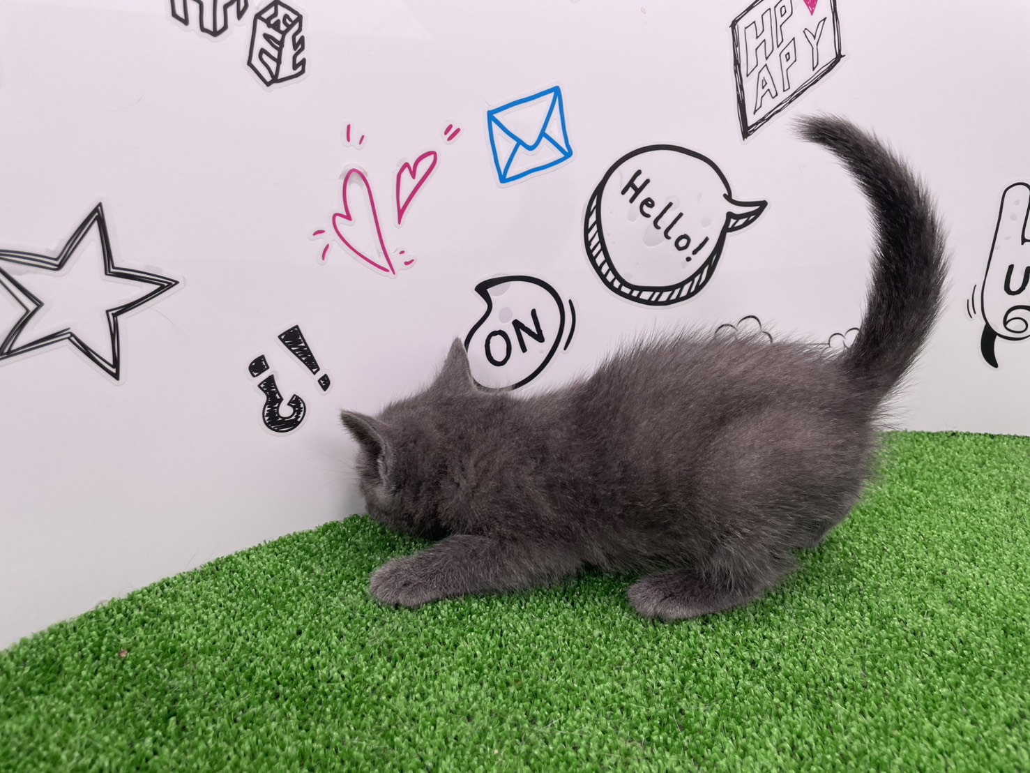 赤ちゃん写真2-2
